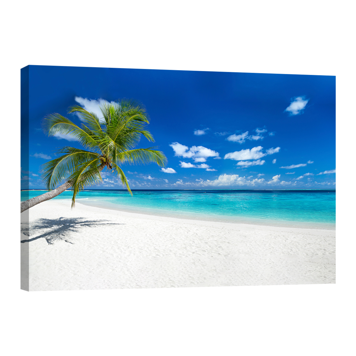 Cuadro Canvas Revolution Playa Paraíso Tropical 90 x 60 cm