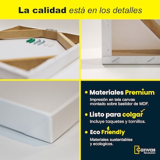 Foto 2 | Cuadros Decorativos Canvas Revolution 3 Piezas 25 x 38 cm