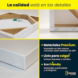 Foto 2 | Cuadro Canvas Revolution Tríptico Vertical Moderno Abstracto Set de 3 Piezas 30 X 45 CM C/U