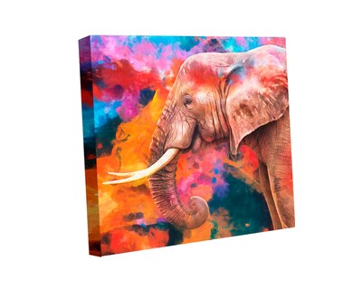 Foto 1 | Cuadro Decorativo Canvas Art Pintura Moderna de Elefante Fondo Colorido Multicolor 120 X 120 CM