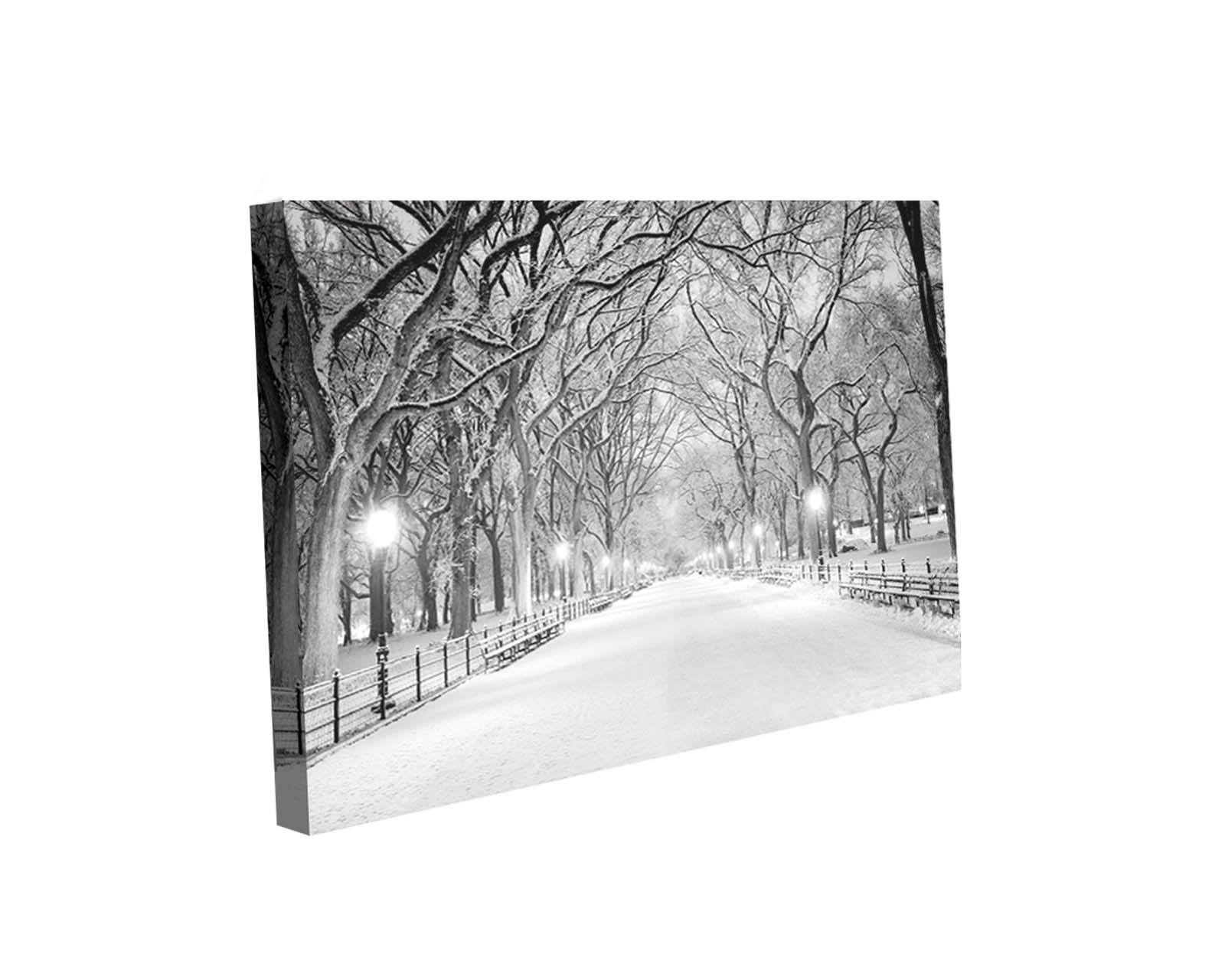 Foto 2 pulgar | Cuadro Decorativo Canvas Art Central Park Nyc en Tormenta de Nieve Multicolor 130x80cm