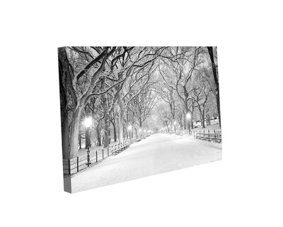Foto 1 | Cuadro Decorativo Canvas Art Central Park Nyc en Tormenta de Nieve Multicolor 130x80cm