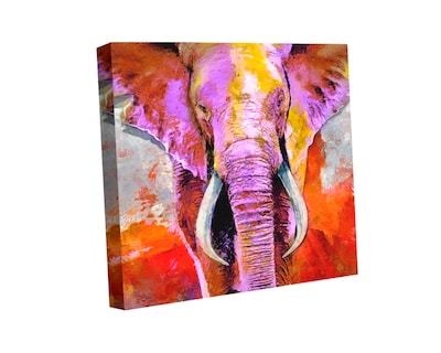 Foto 1 | Cuadro Decorativo Canvas Art Pintura Moderna de Elefante Colorido Multicolor 120 X 120 CM