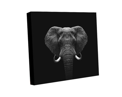 Foto 1 | Cuadro Decorativo Canvas Art Elefante 120 x 120 cm