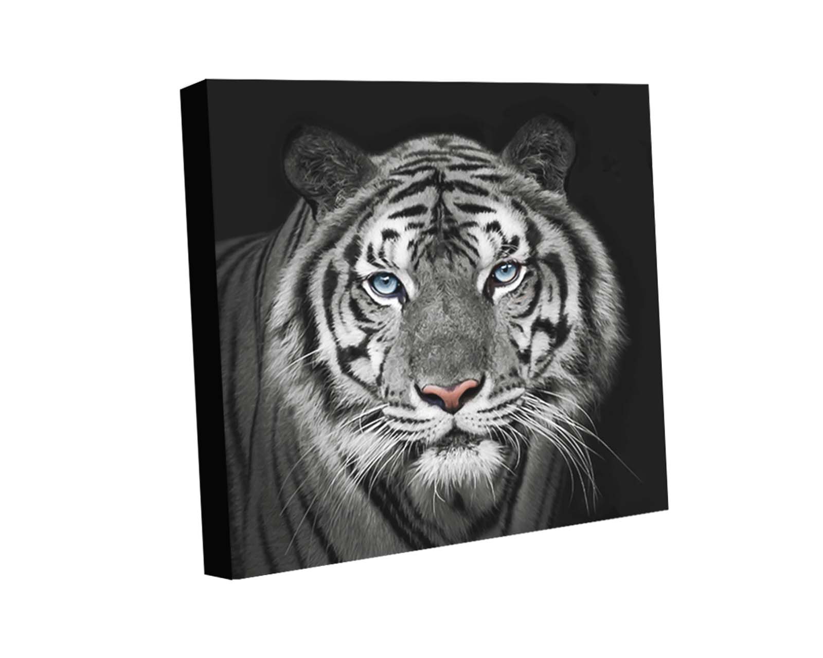 Foto 2 pulgar | Cuadro Decorativo Canvas Art Tigre Blanco 120 x 120 cm