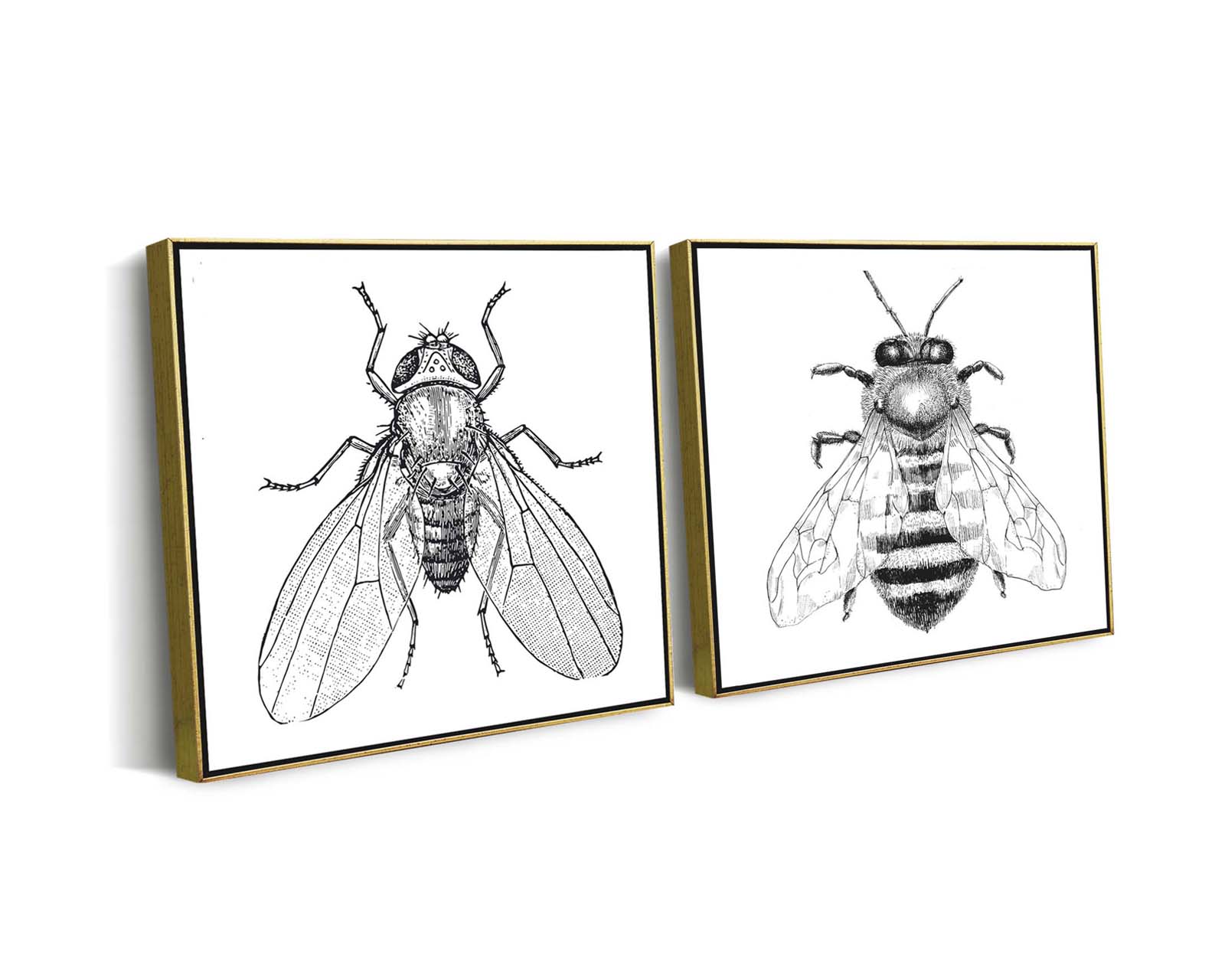 Set 2 Cuadros Decorativos Canvas Art Par de Insectos Mosca y Abeja