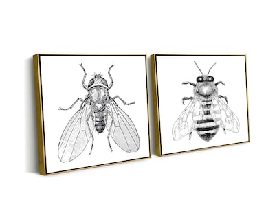 Foto 1 | Set 2 Cuadros Decorativos Canvas Art Par de Insectos Mosca y Abeja