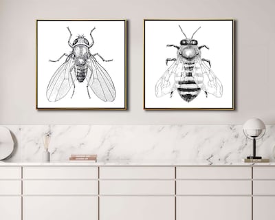 Foto 2 | Set 2 Cuadros Decorativos Canvas Art Par de Insectos Mosca y Abeja