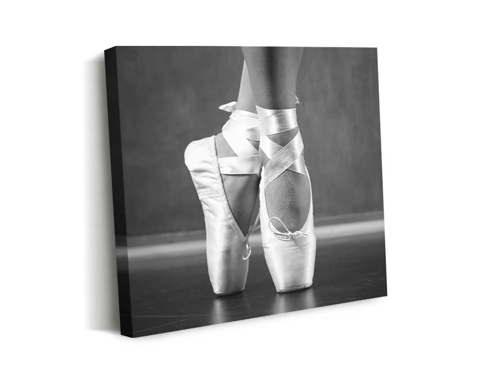 Cuadro Decorativo Canvas Art Zapatillas de Ballet