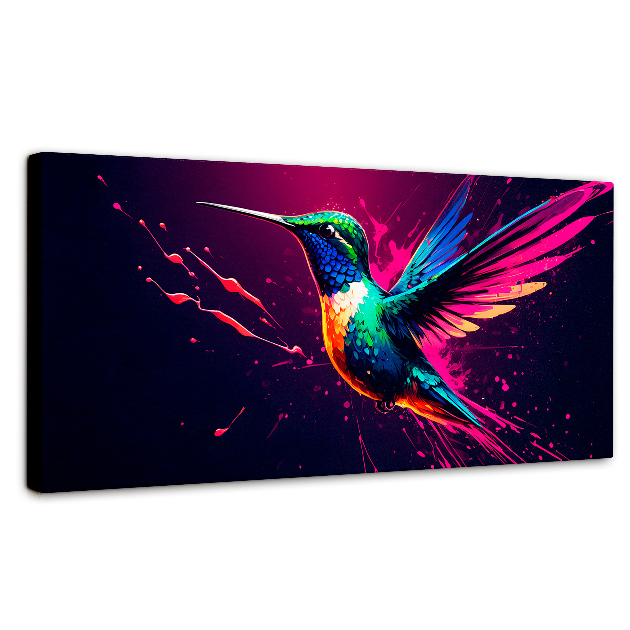 Cuadro Decorativo Canvas Plumas Radiantes 120x60
