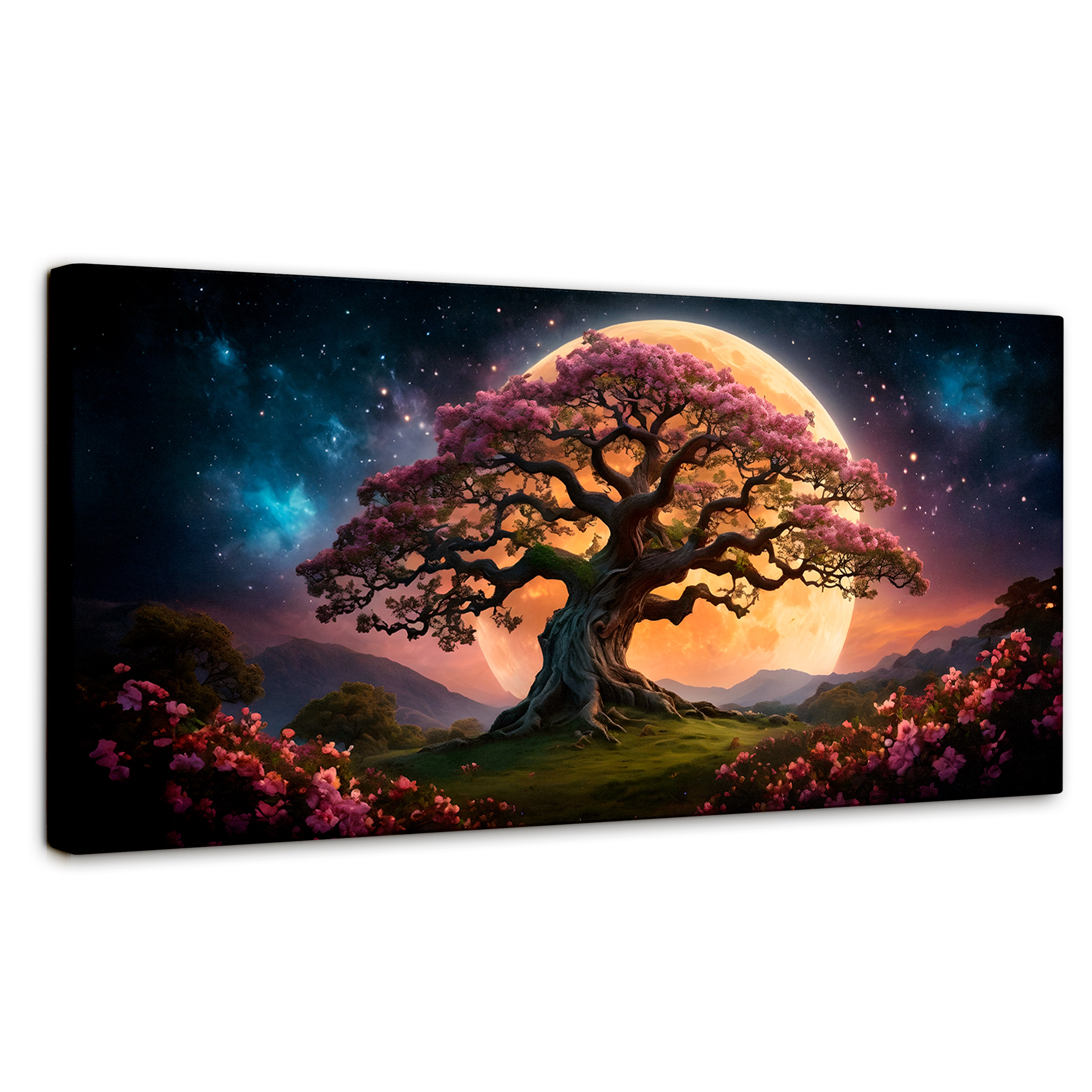 Cuadro Decorativo Canvas Ecos Celestiales 120x60