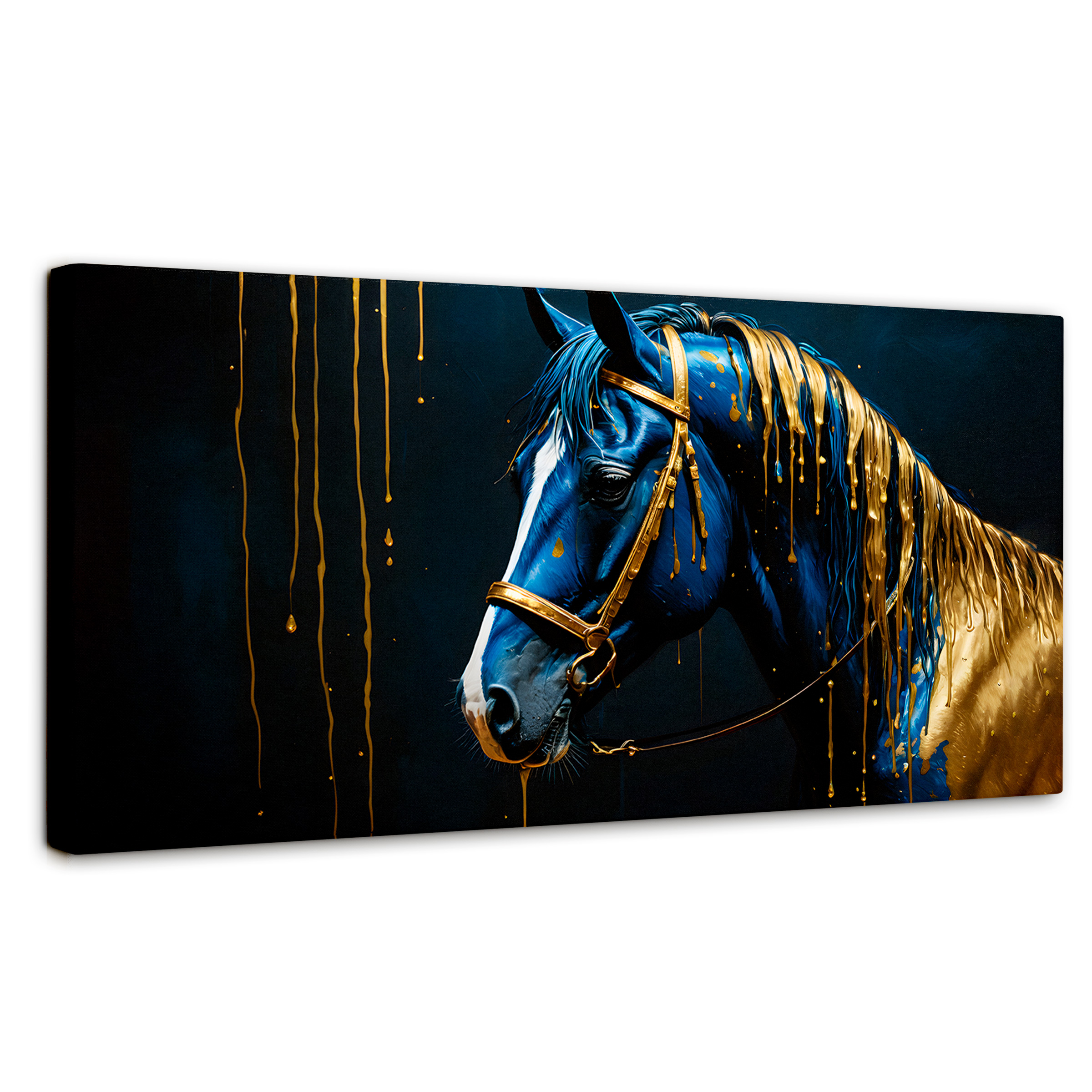 Cuadro Decorativo Canvas Caballo Celestial 120x60