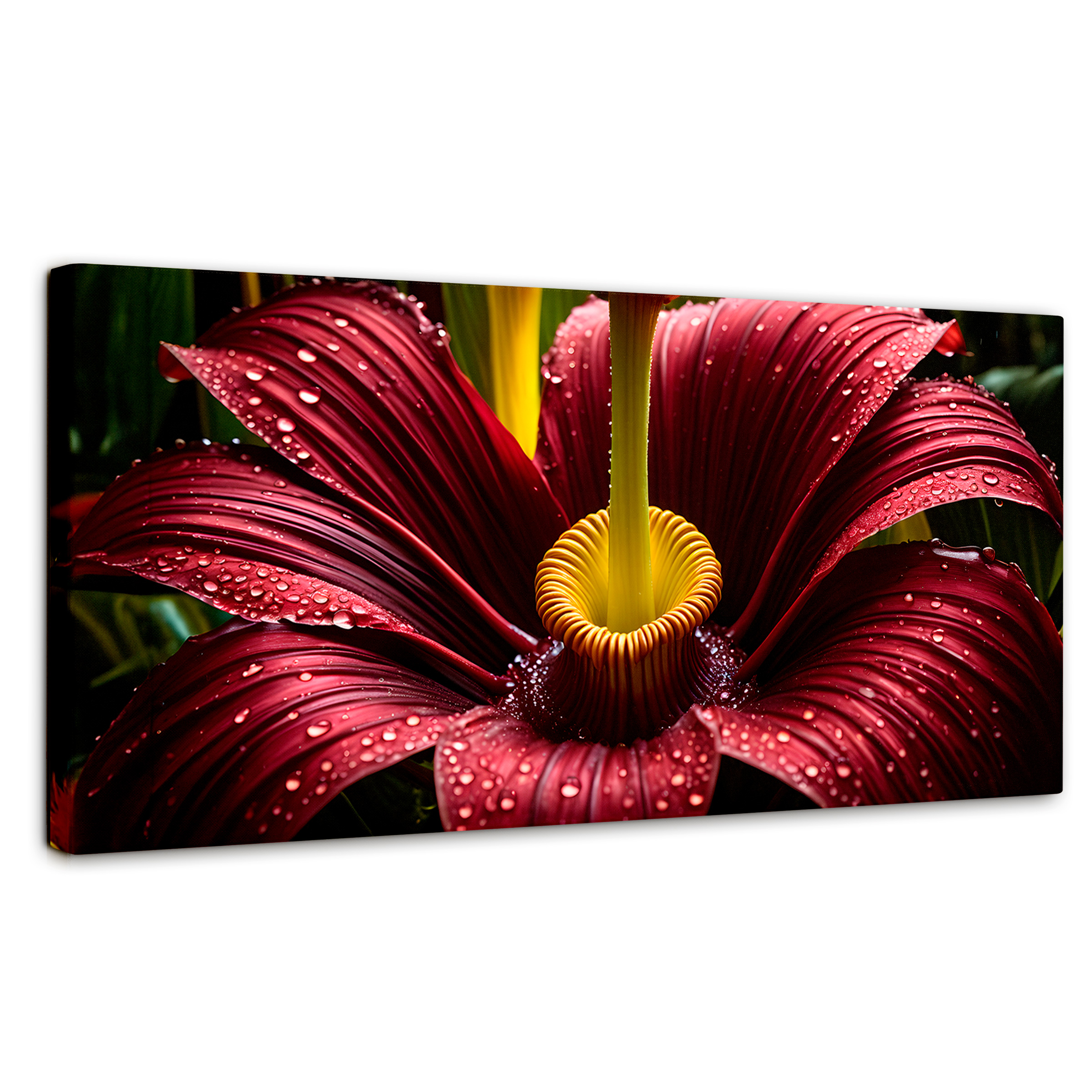Cuadro Decorativo Canvas Eterna Flor Extraña 120x60