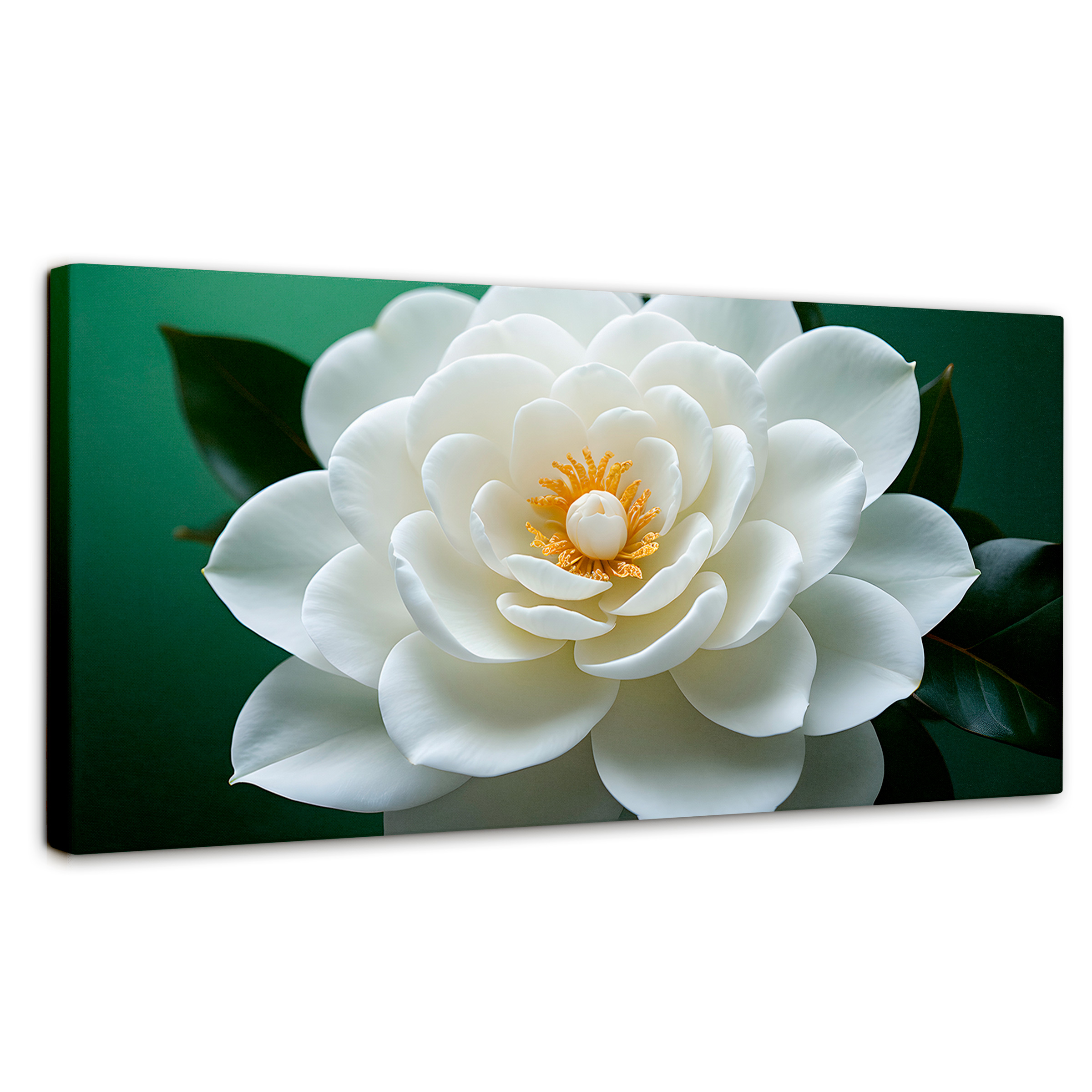 Cuadro Decorativo Canvas Camelia Eterna Flor 120x60