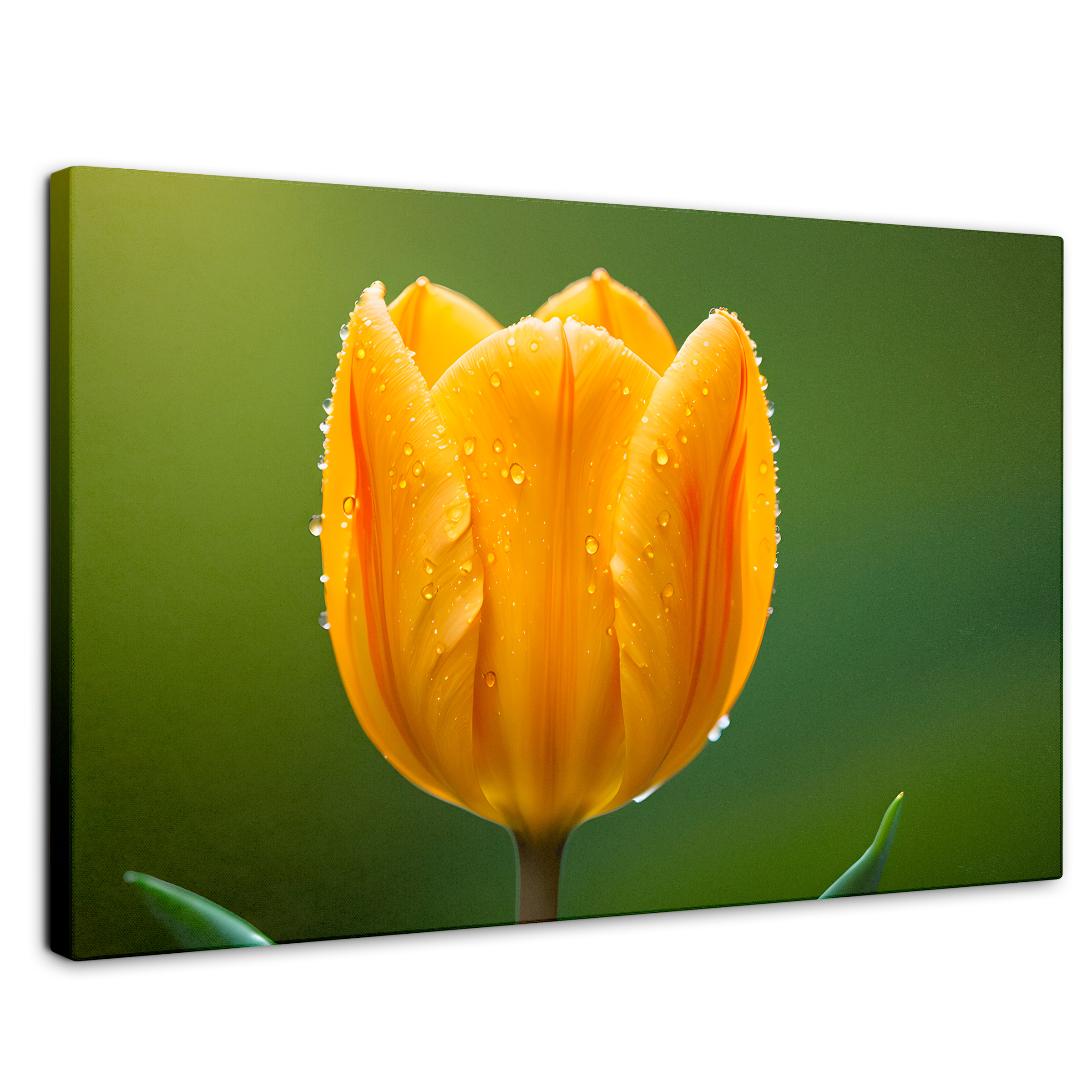 Cuadro Decorativo Canvas Tulipán En Verde 90x60