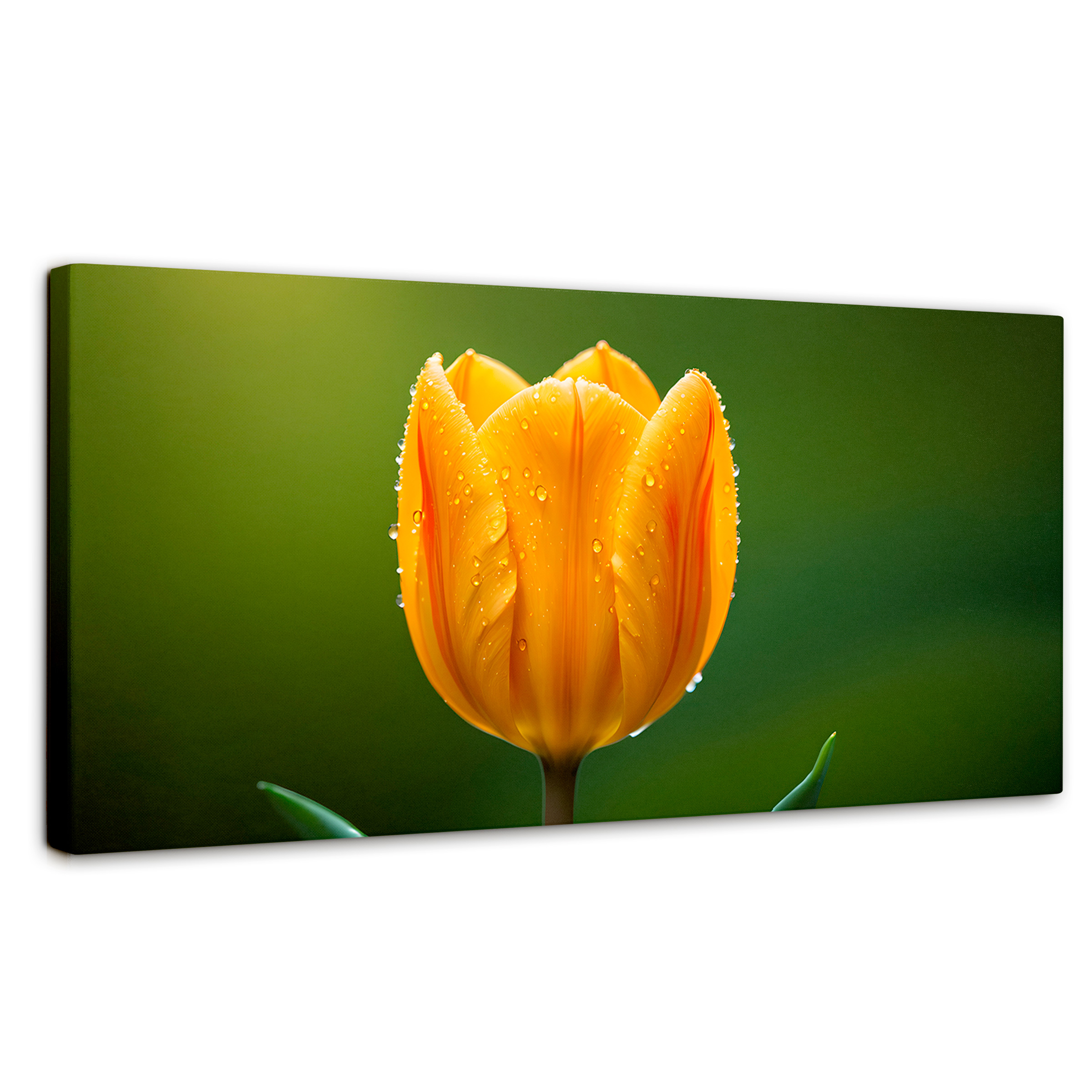 Foto 2 pulgar | Cuadro Decorativo Canvas Tulipán En Verde 120x60