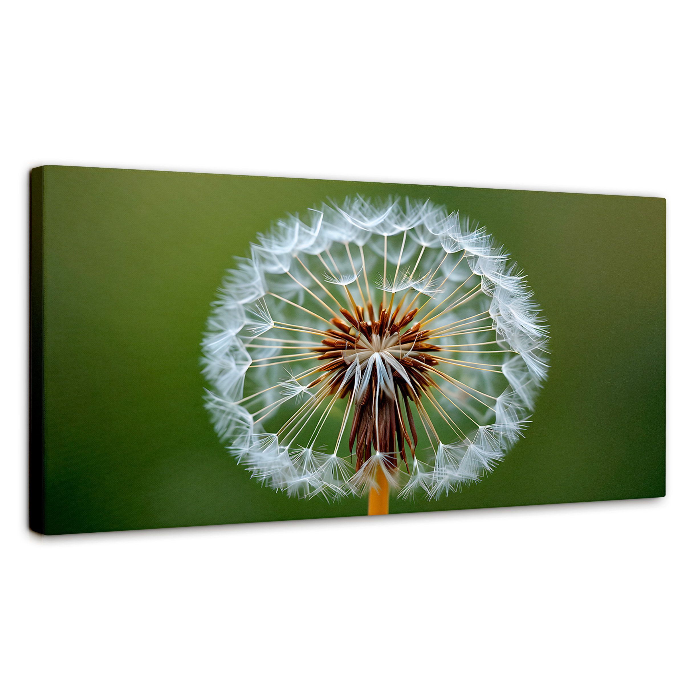 Cuadro Decorativo Canvas Sueño En Vuelo 120x60