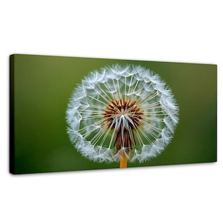 Foto 1 | Cuadro Decorativo Canvas Sueño En Vuelo 120x60