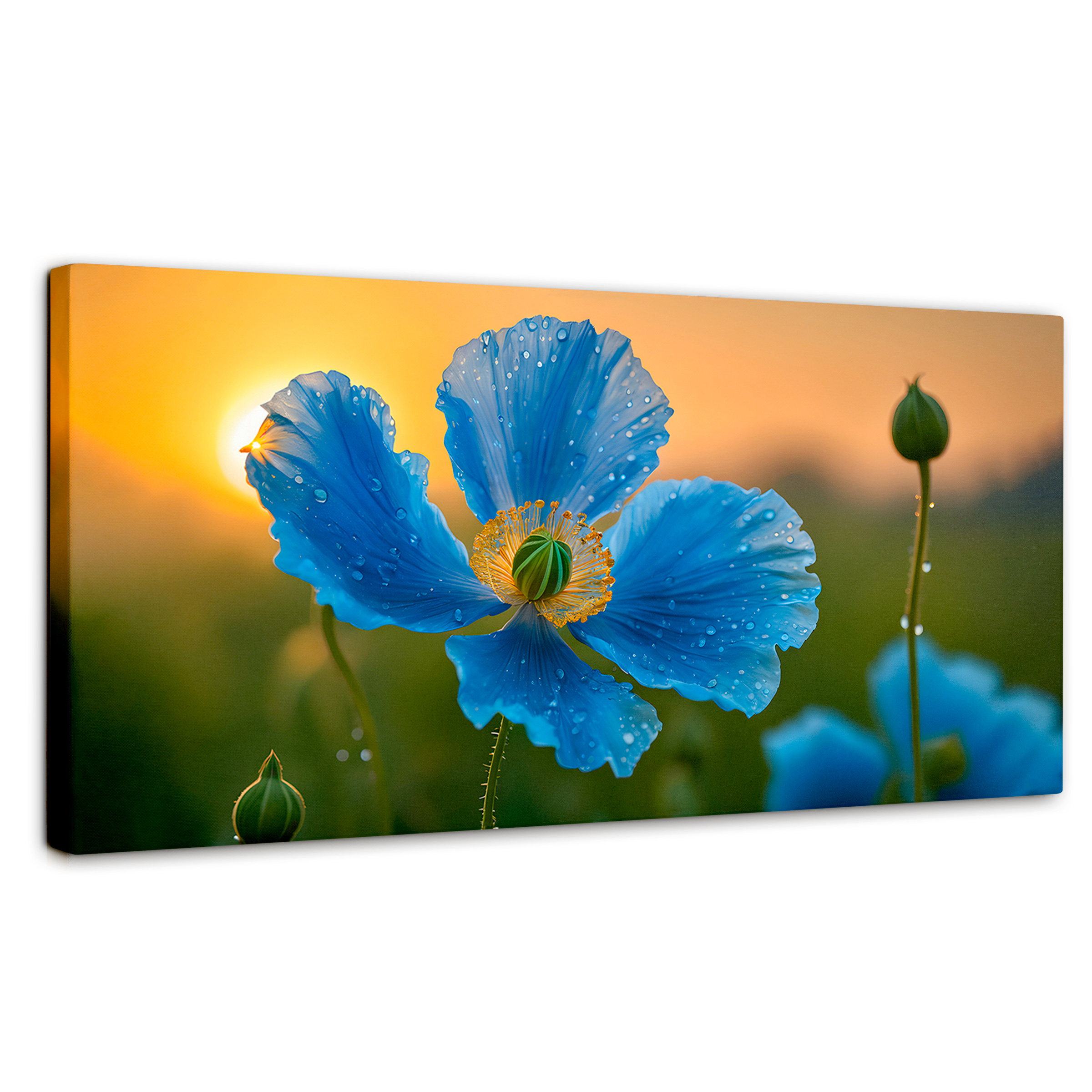 Foto 2 pulgar | Cuadro Decorativo Canvas Sueño De Amapolas 120x60