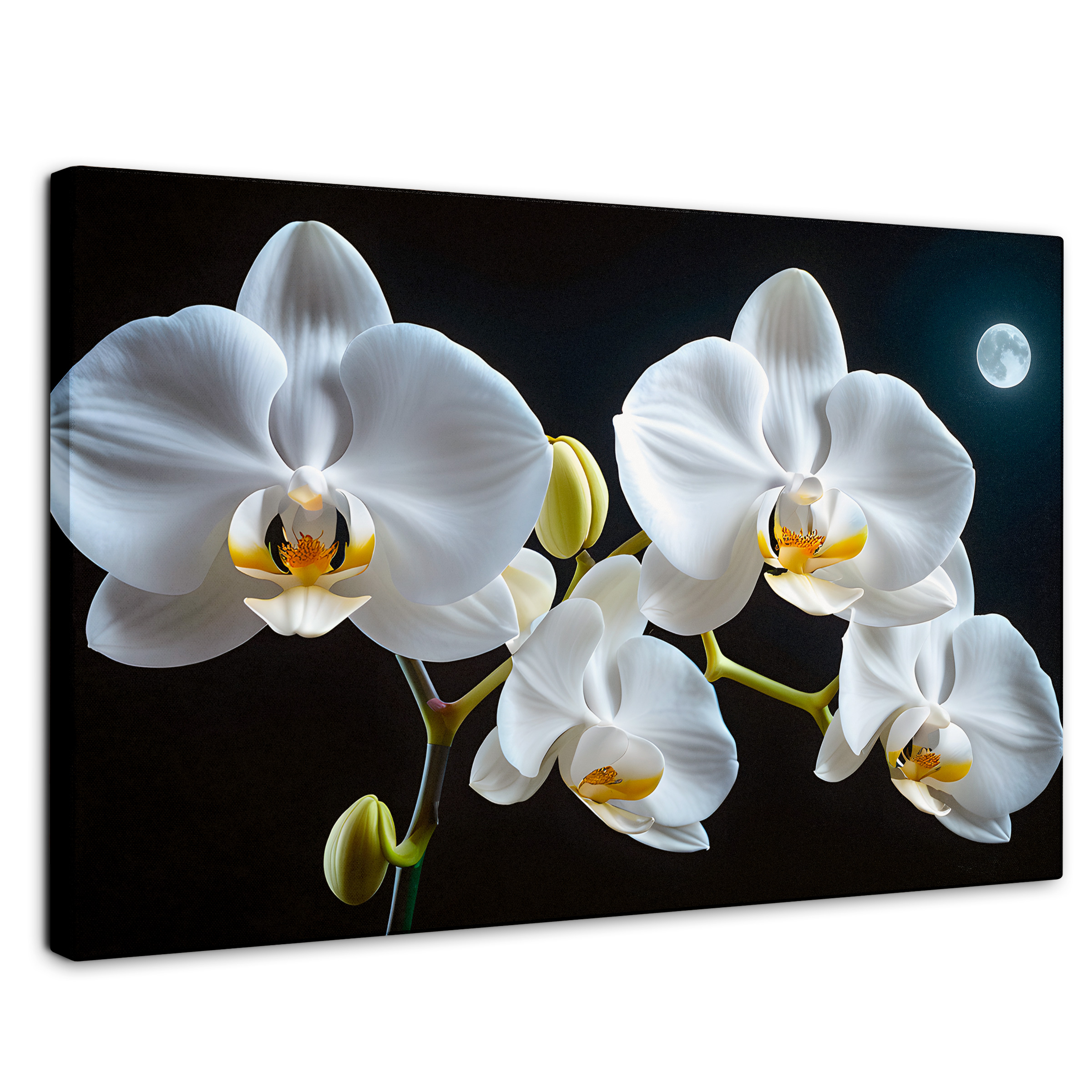 Cuadro Decorativo Canvas Orquídeas De Noche 90x60