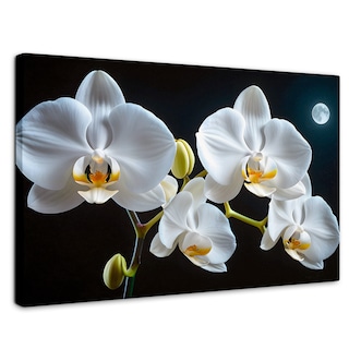 Foto 1 | Cuadro Decorativo Canvas Orquídeas De Noche 90x60