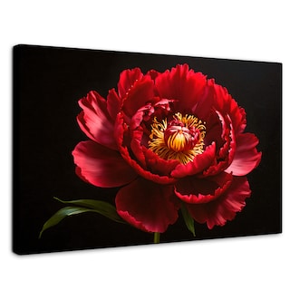 Foto 1 | Cuadro Decorativo Canvas Peonía De Noche 90x60