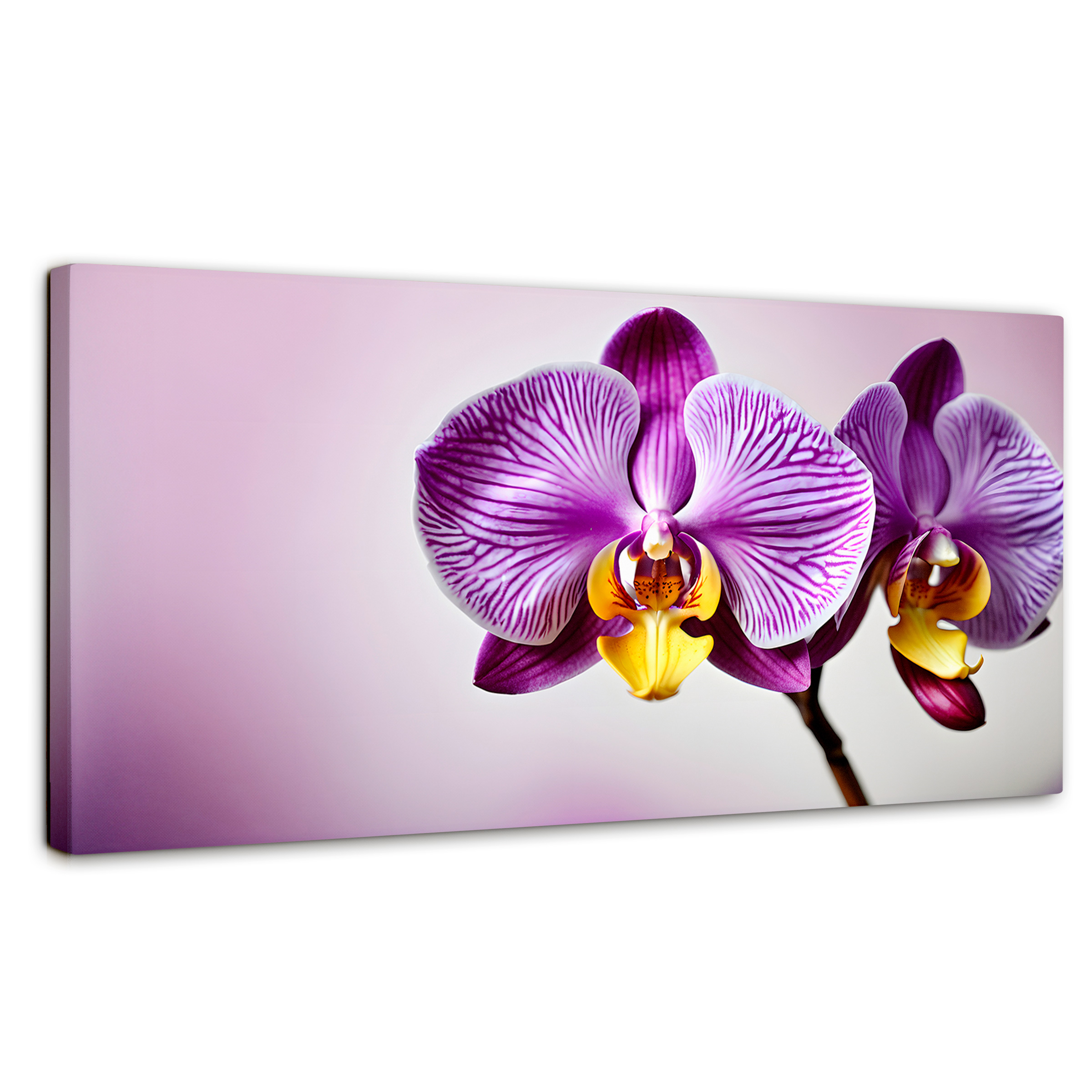 Cuadro Decorativo Canvas Esencia Violeta 120x60