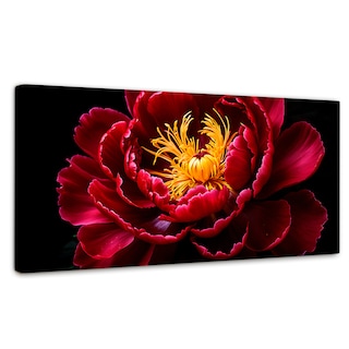 Foto 1 | Cuadro Decorativo Canvas Peonía Dualidad 120x60