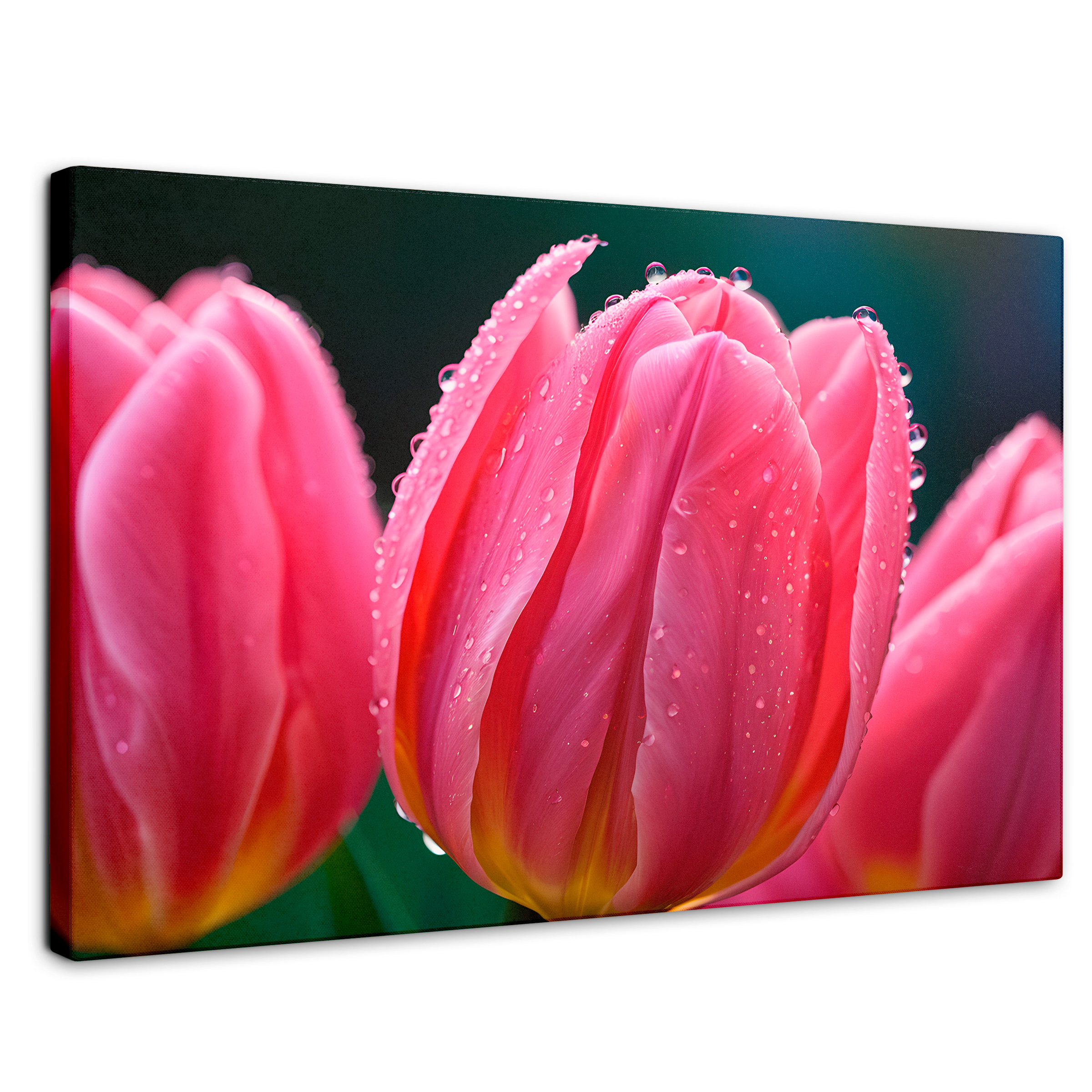 Cuadro Decorativo Canvas Tulipanes Rosa Vivo 90x60