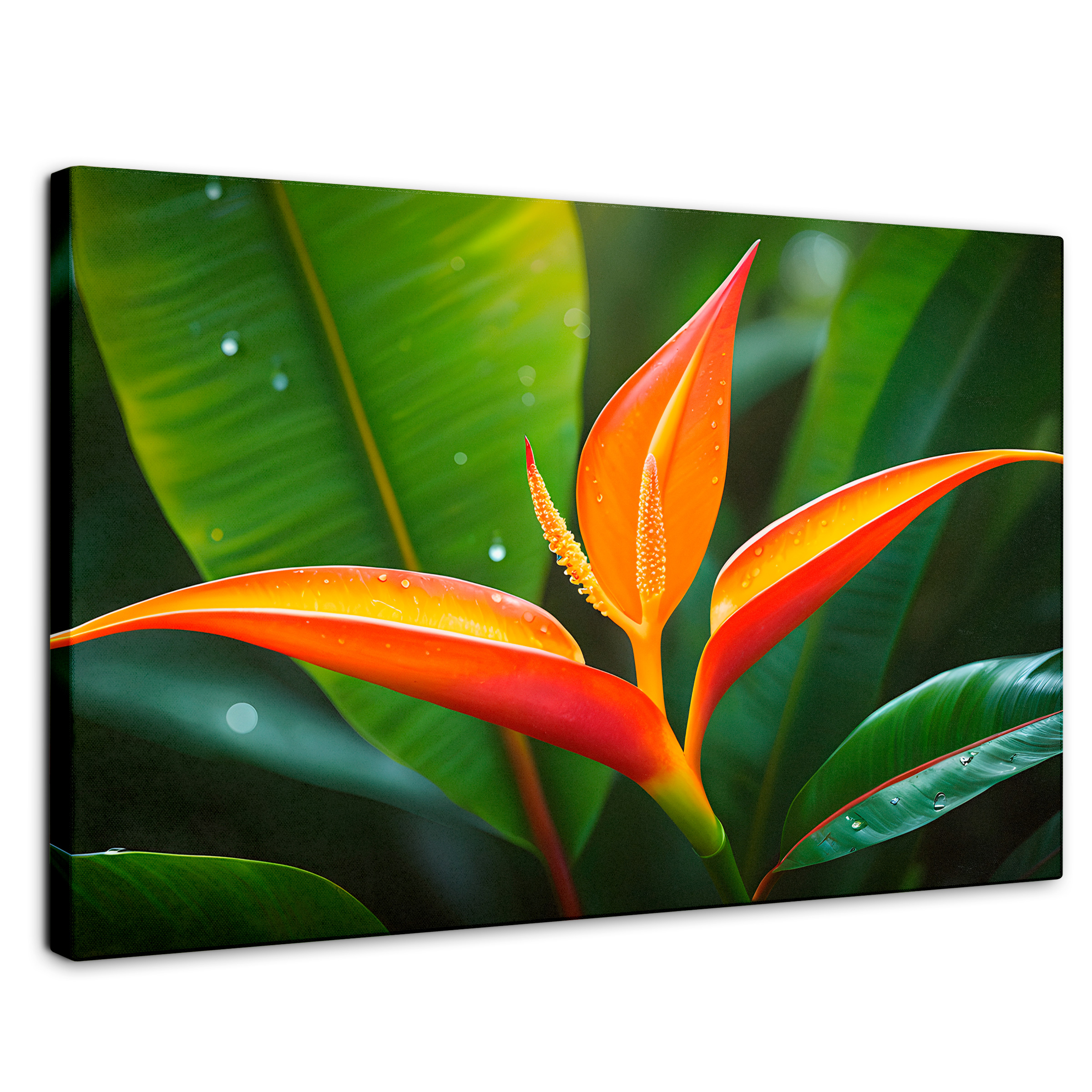 Cuadro Decorativo Canvas Heliconia Pura Vida 90x60