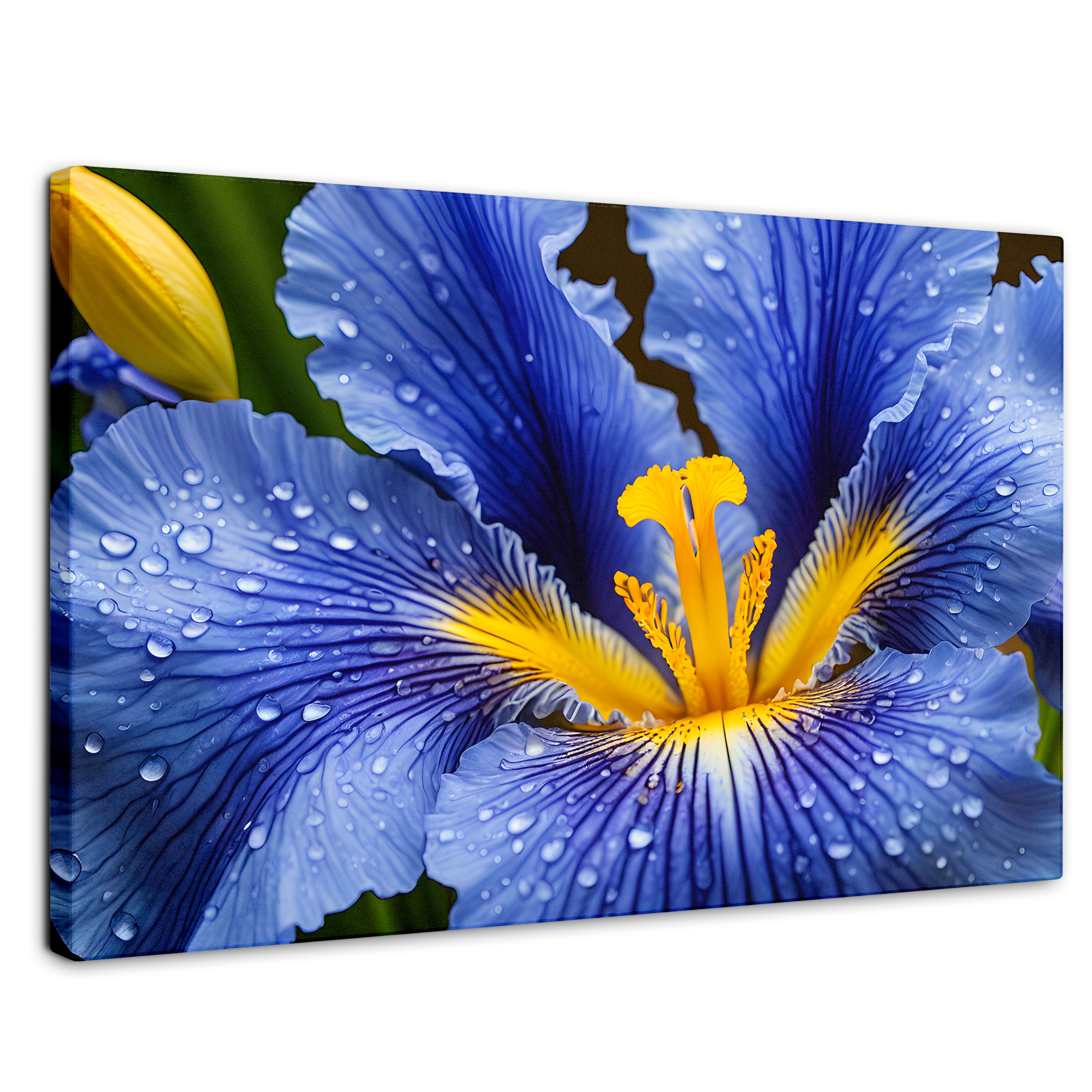 Cuadro Decorativo Canvas Magia Flor Iris 90x60