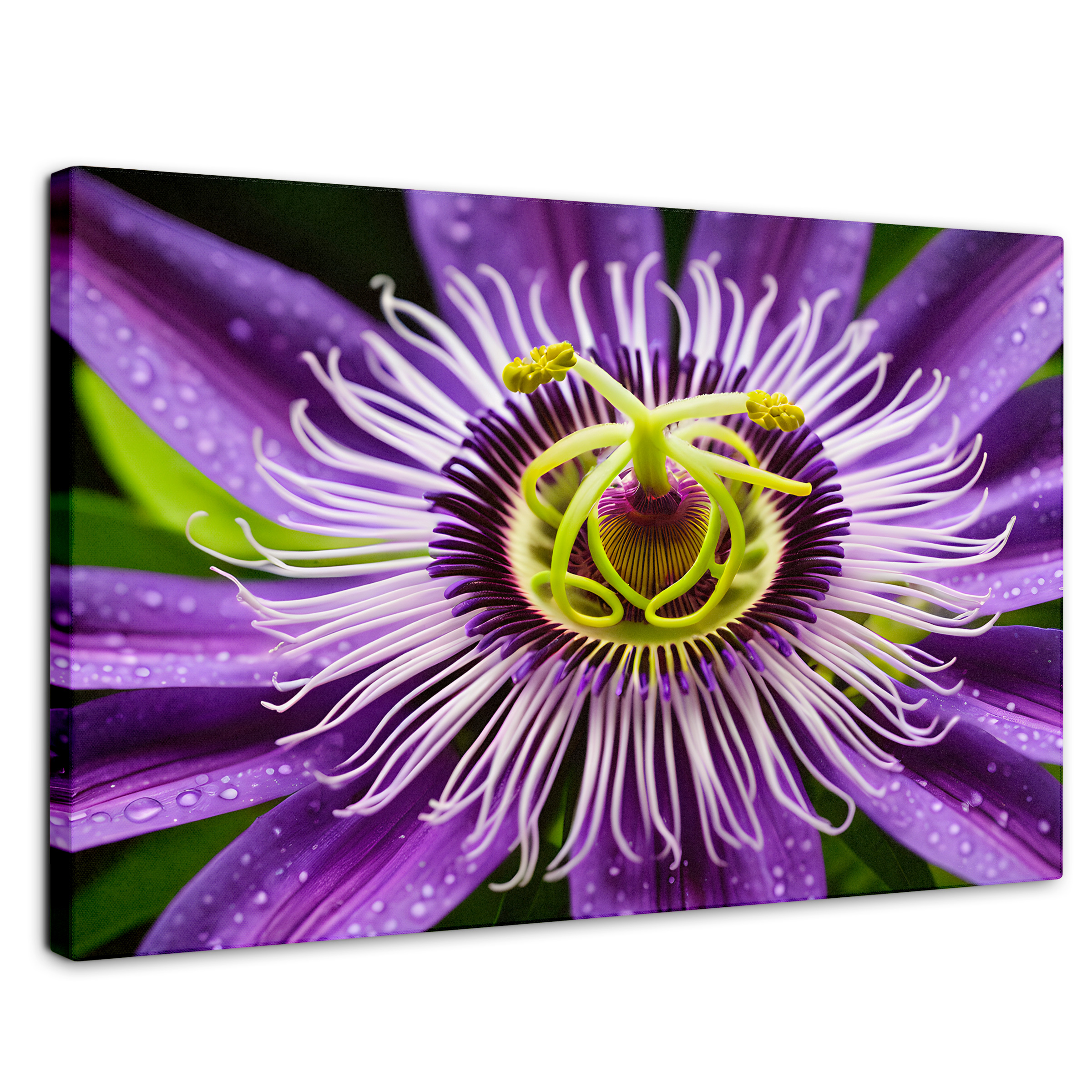 Cuadro Decorativo Canvas Flor Pasión Eterna 90x60