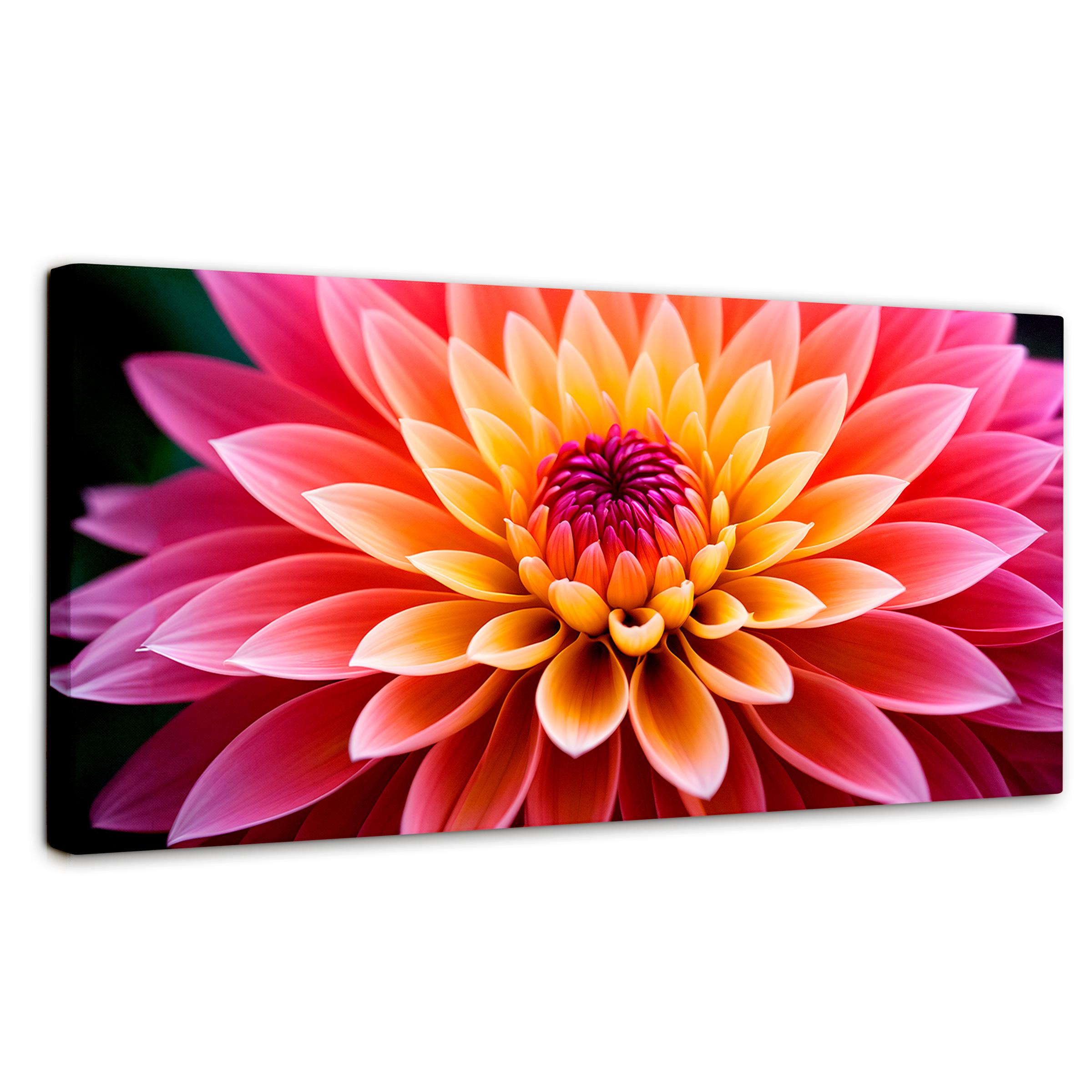 Foto 2 pulgar | Cuadro Decorativo Canvas Dahlia Vibrante 120x60