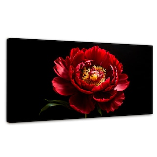 Foto 1 | Cuadro Decorativo Canvas Peonía De Noche 120x60
