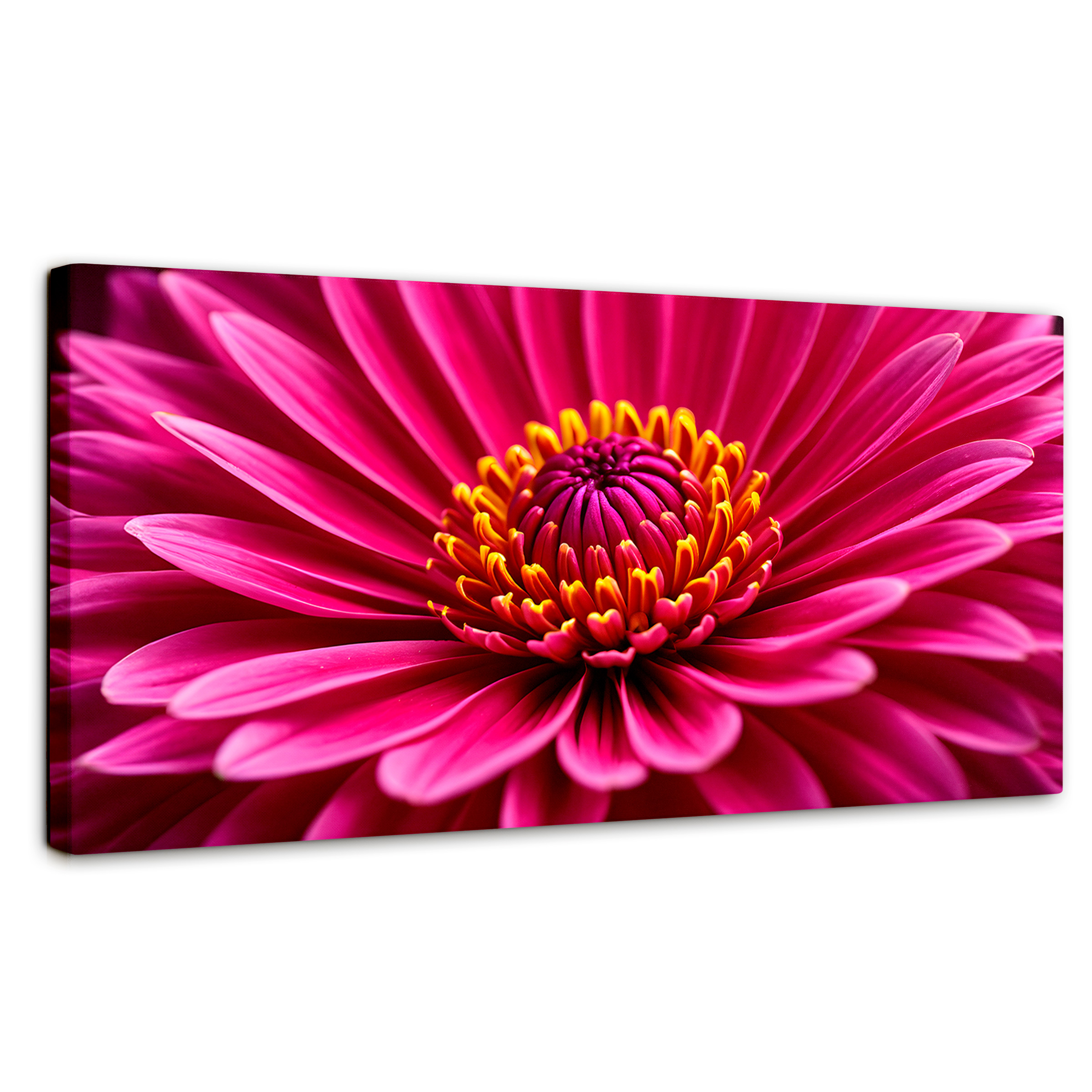 Foto 2 pulgar | Cuadro Decorativo Canvas Zinnia Magia Rosa 120x60