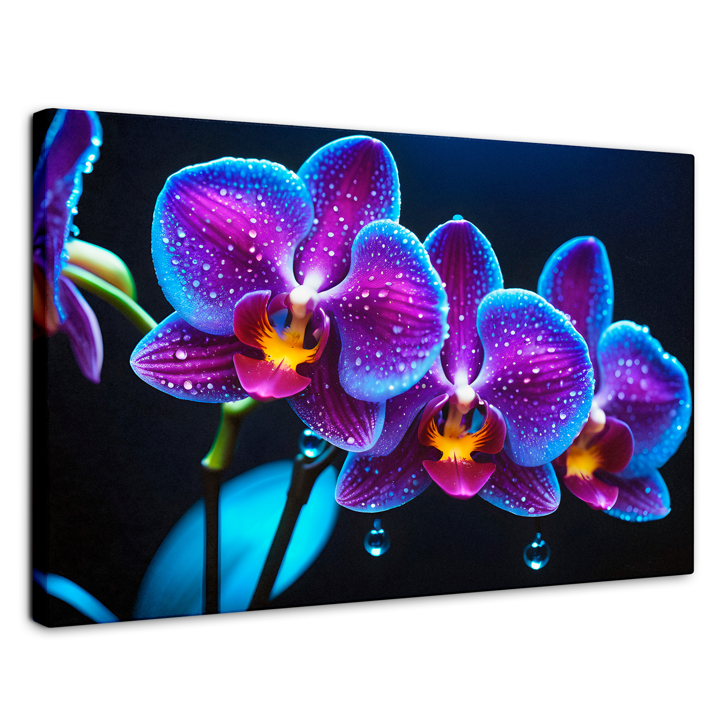 Cuadro Decorativo Canvas Orquídea Destello 90x60