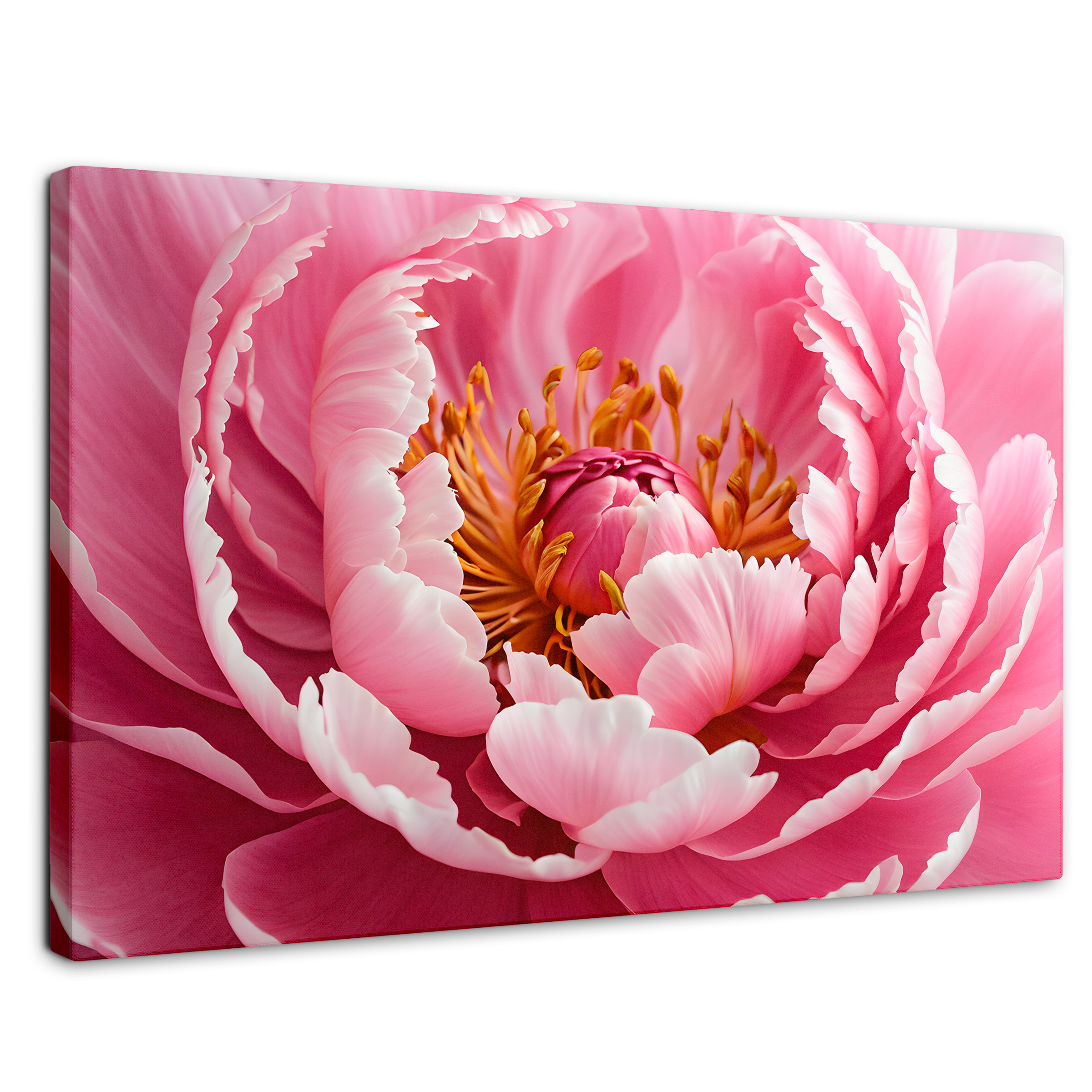 Cuadro Decorativo Canvas Peonía Rosa Abierta 90x60