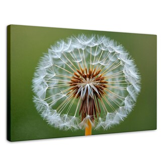 Foto 1 | Cuadro Decorativo Canvas Sueño En Vuelo 90x60