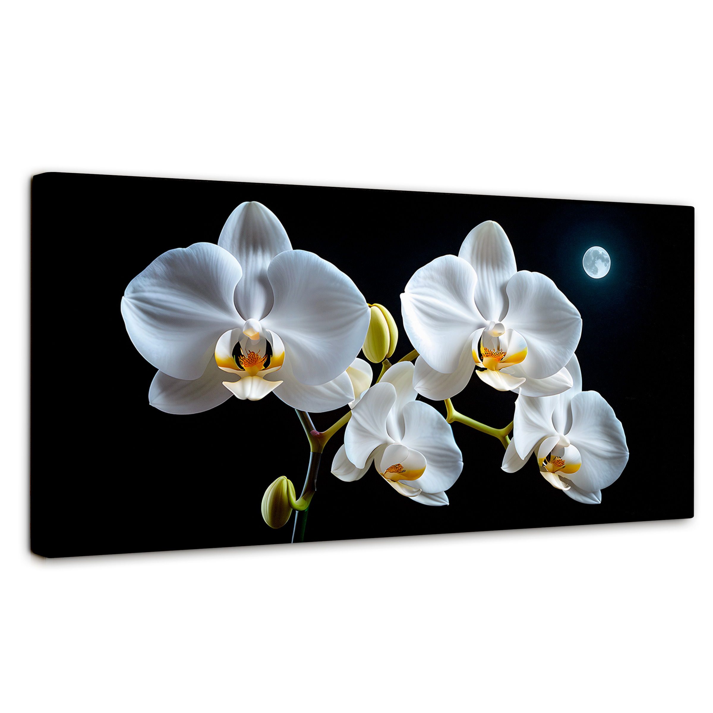 Cuadro Decorativo Canvas Orquídeas De Noche 120x60