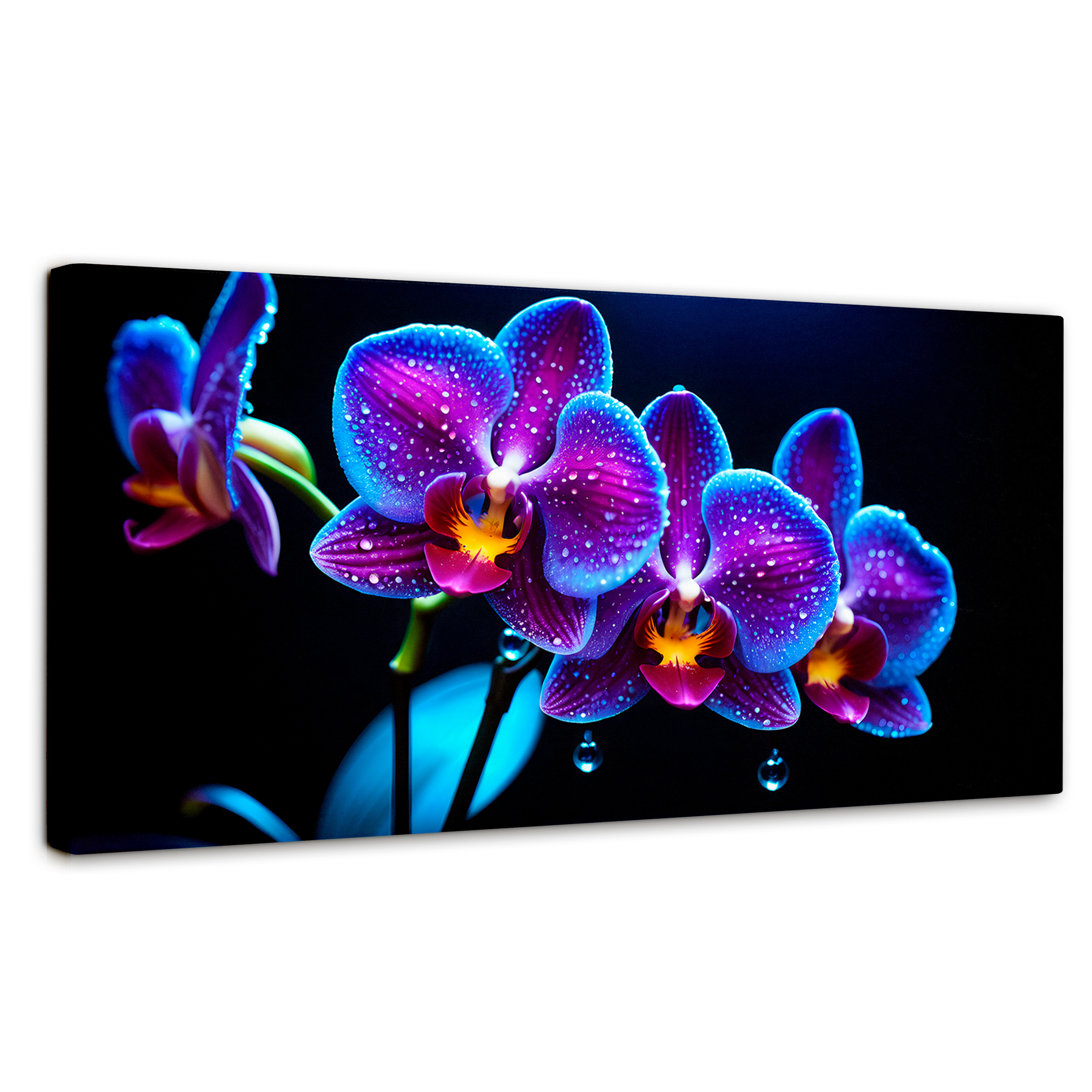 Cuadro Decorativo Canvas Orquídea Destello 120x60