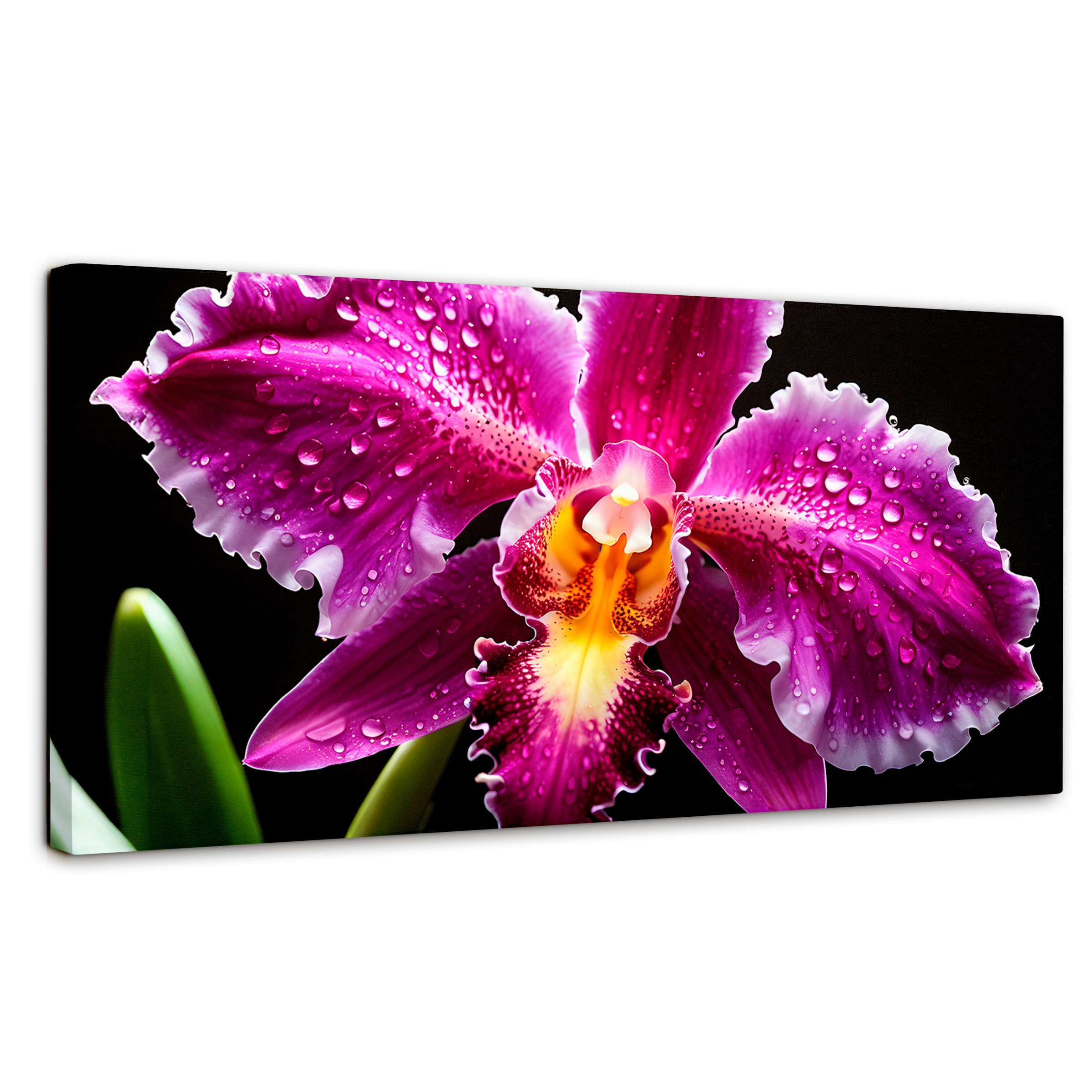 Cuadro Decorativo Canvas Brillo De Cattleya 120x60