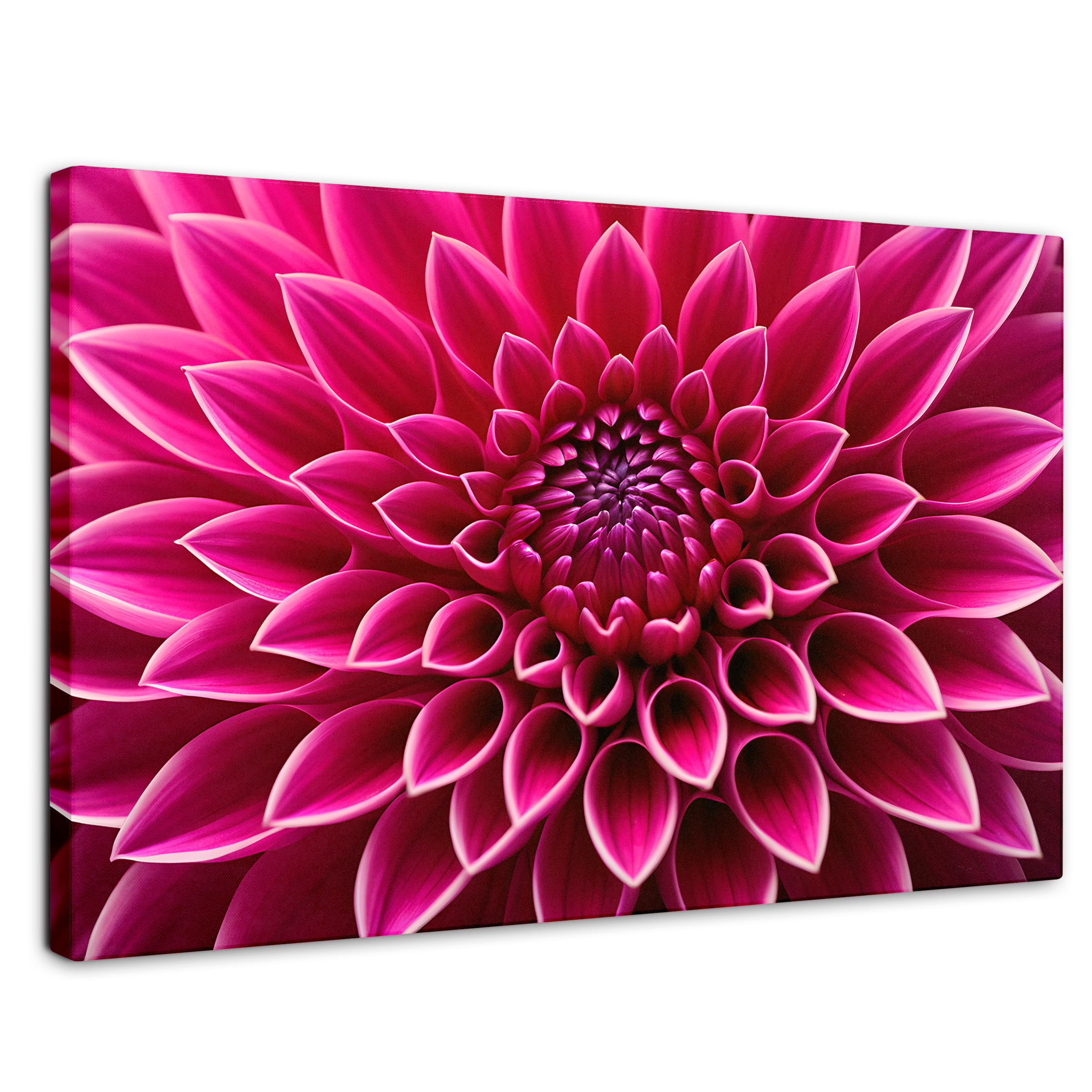 Cuadro Decorativo Canvas Dalia Magenta Flor 90x60