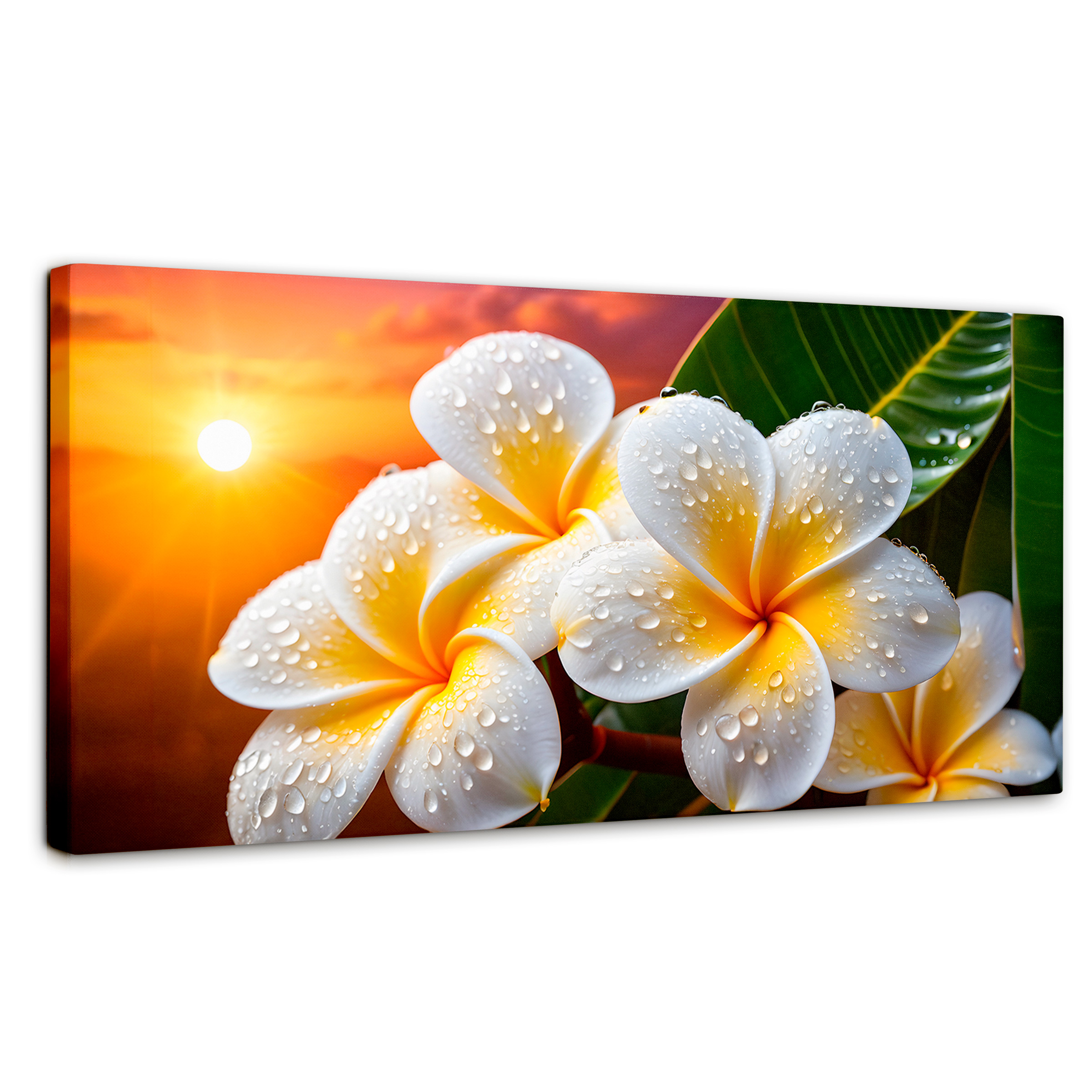 Cuadro Decorativo Canvas Plumeria Luz Serena 120x60