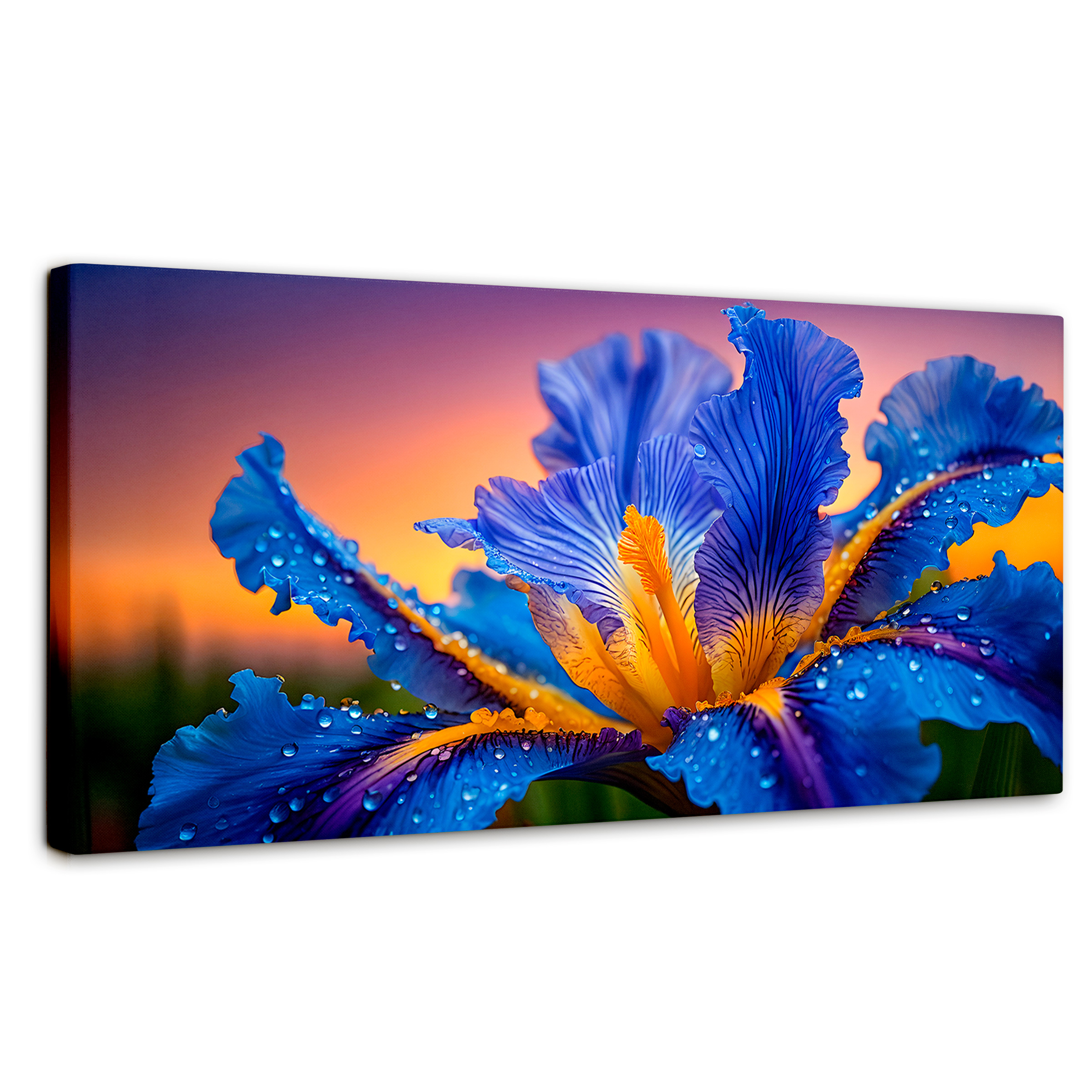 Cuadro Decorativo Canvas Flor Iris Divino 120x60