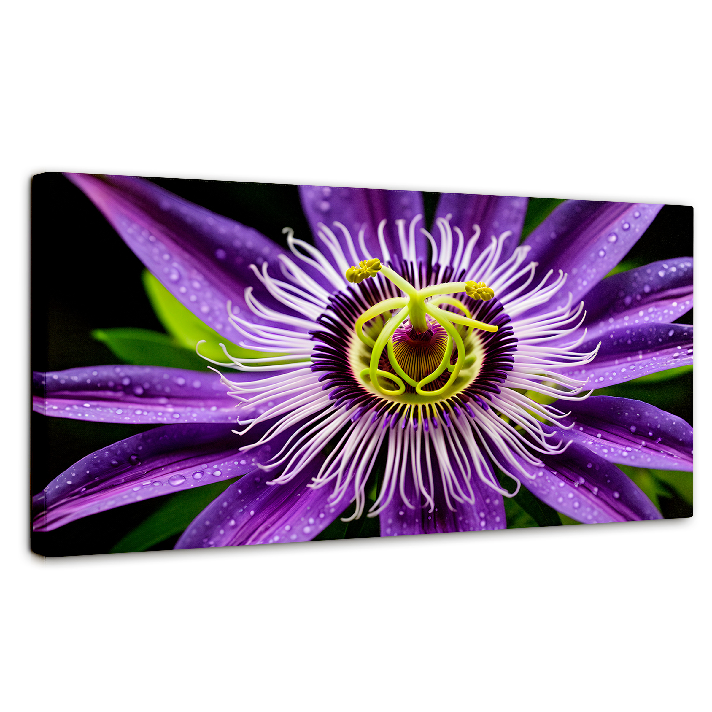 Cuadro Decorativo Canvas Flor Pasión Eterna 120x60