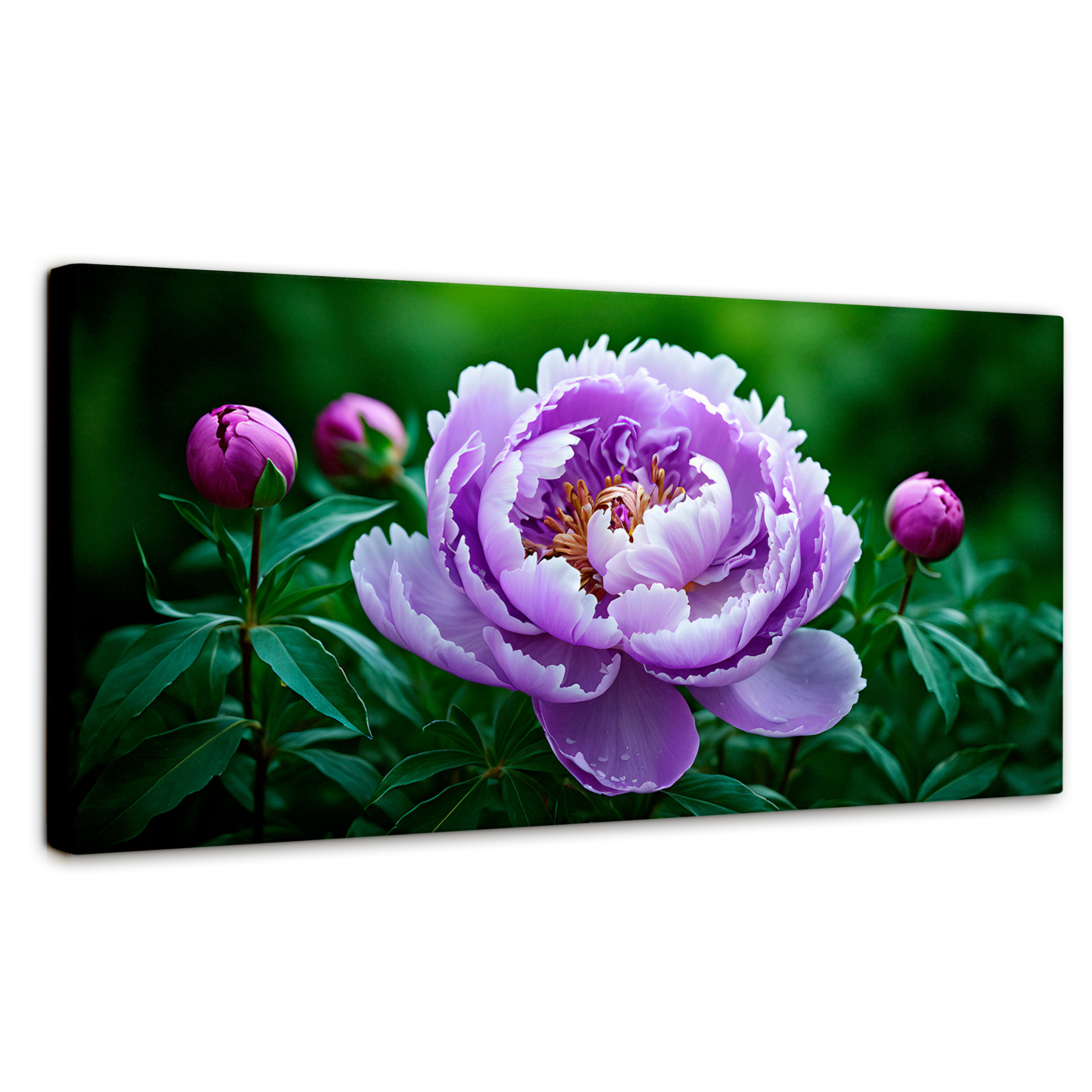 Cuadro Decorativo Canvas Peonía Morada Viva 120x60