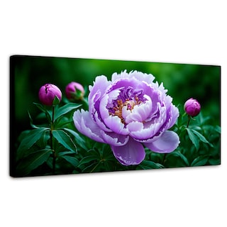 Foto 1 | Cuadro Decorativo Canvas Peonía Morada Viva 120x60