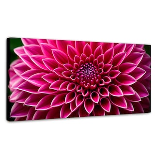 Foto 1 | Cuadro Decorativo Canvas Dalia Magenta Flor 120x60