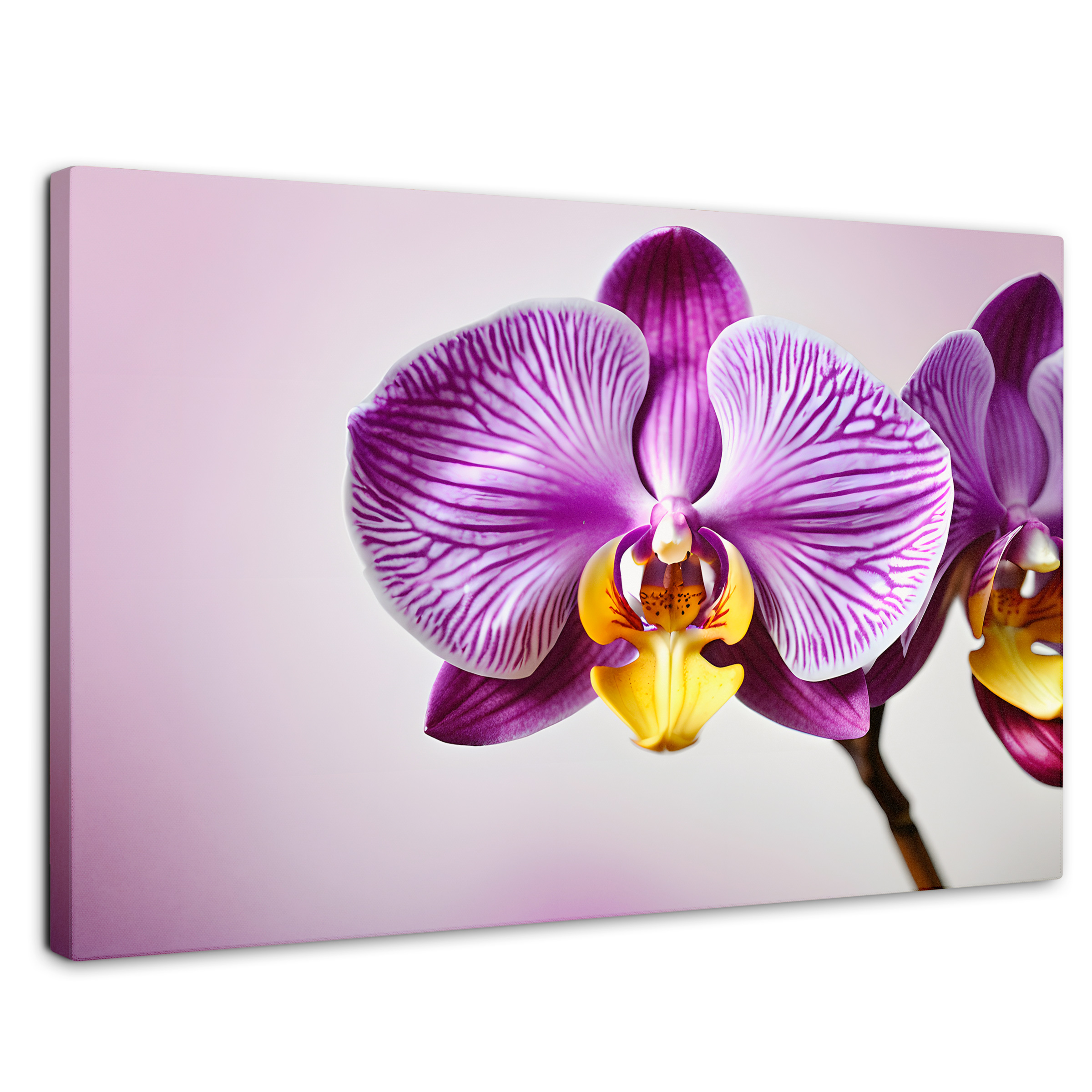 Cuadro Decorativo Canvas Esencia Violeta 90x60