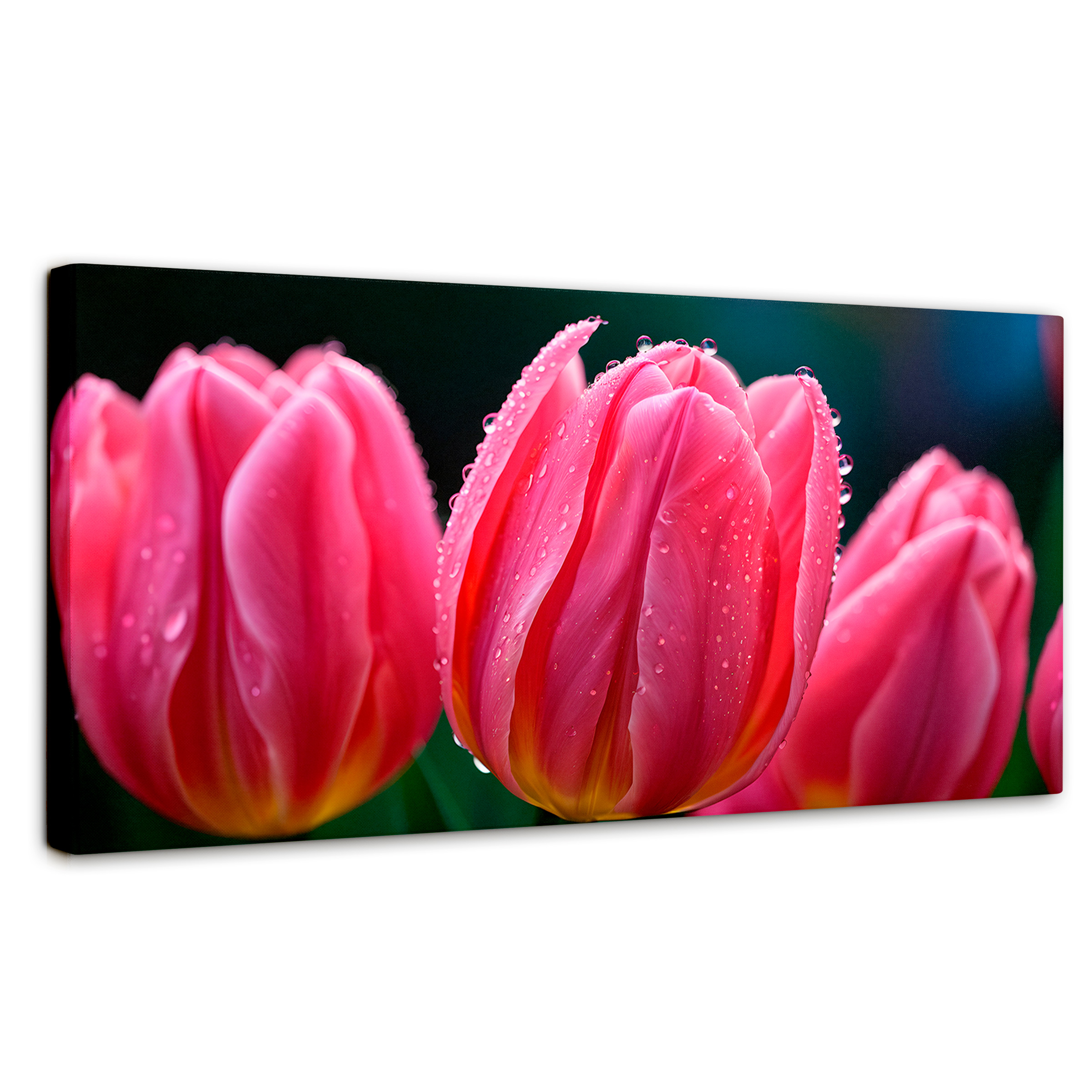 Foto 2 pulgar | Cuadro Decorativo Canvas Tulipanes Rosa Vivo 120x60